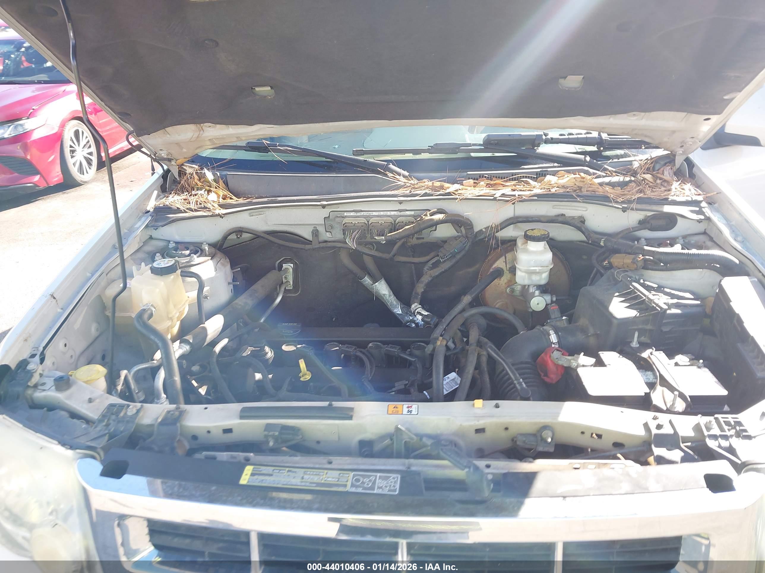 FORD ESCAPE image 10