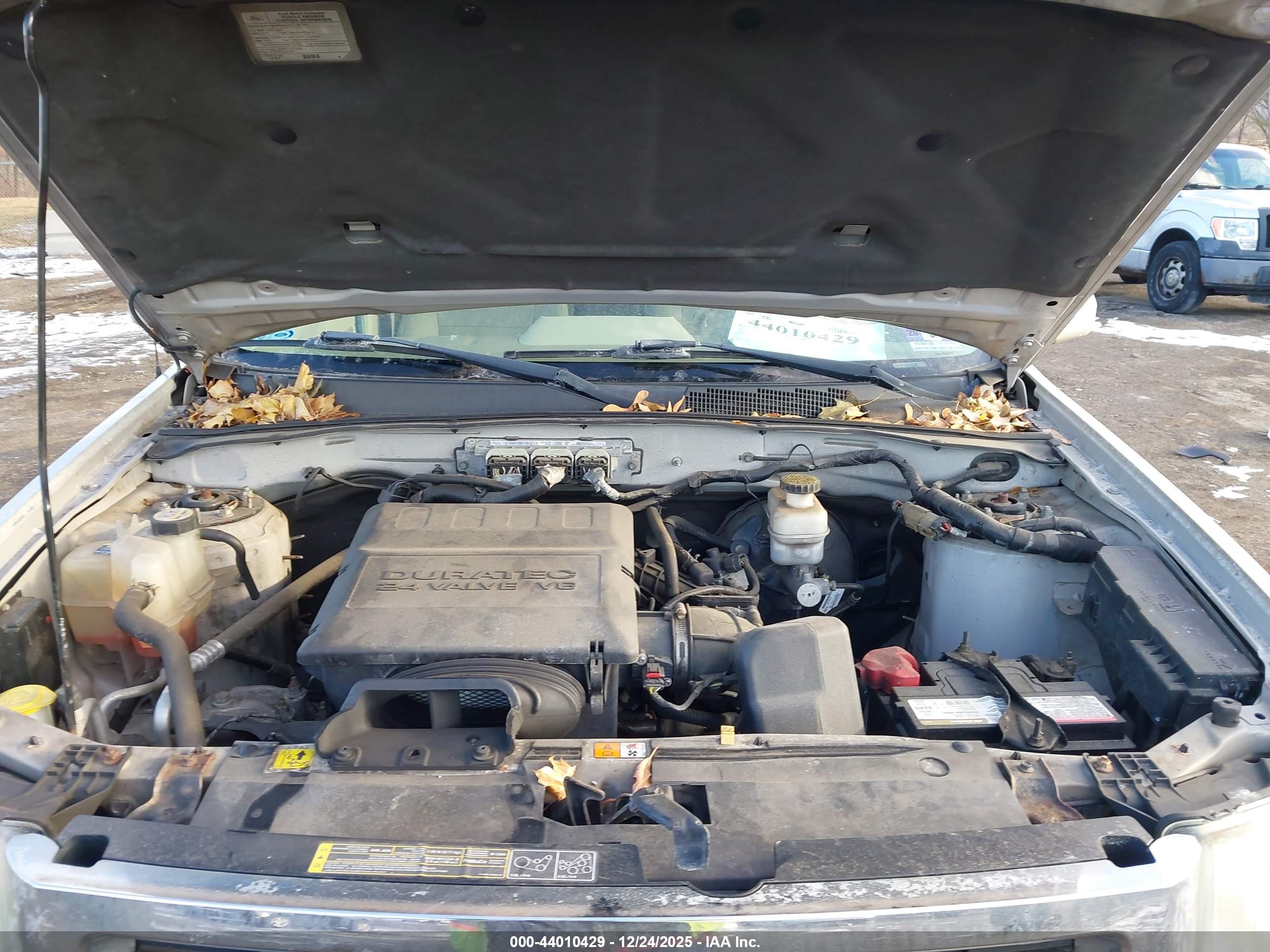 FORD ESCAPE image 10