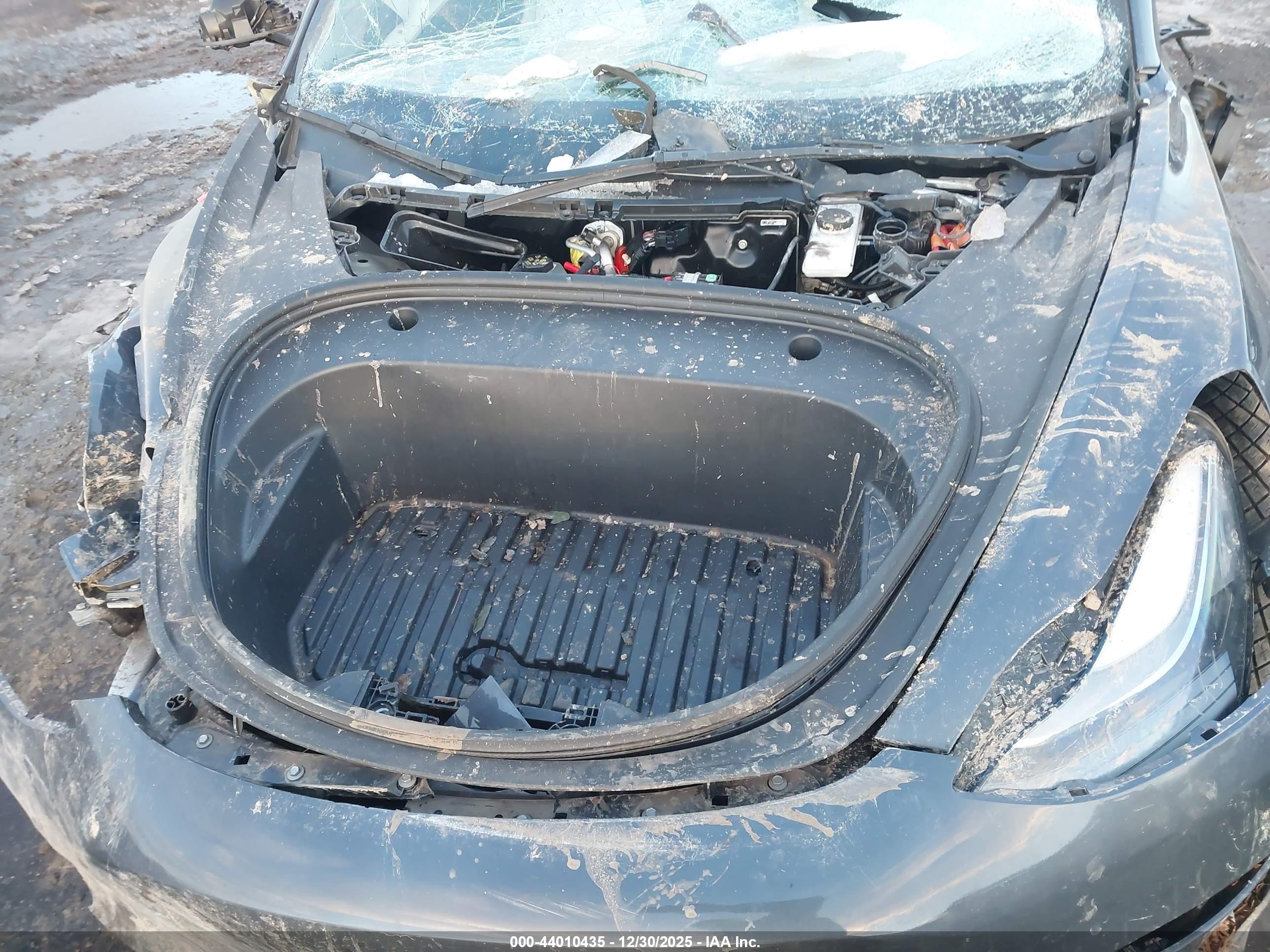 TESLA MODEL image 10
