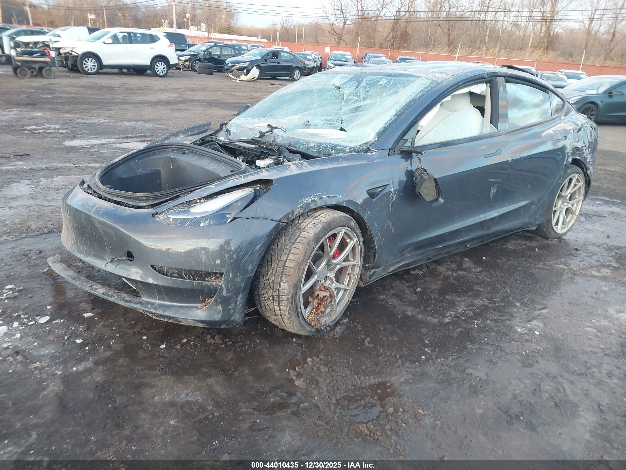 TESLA MODEL image 2