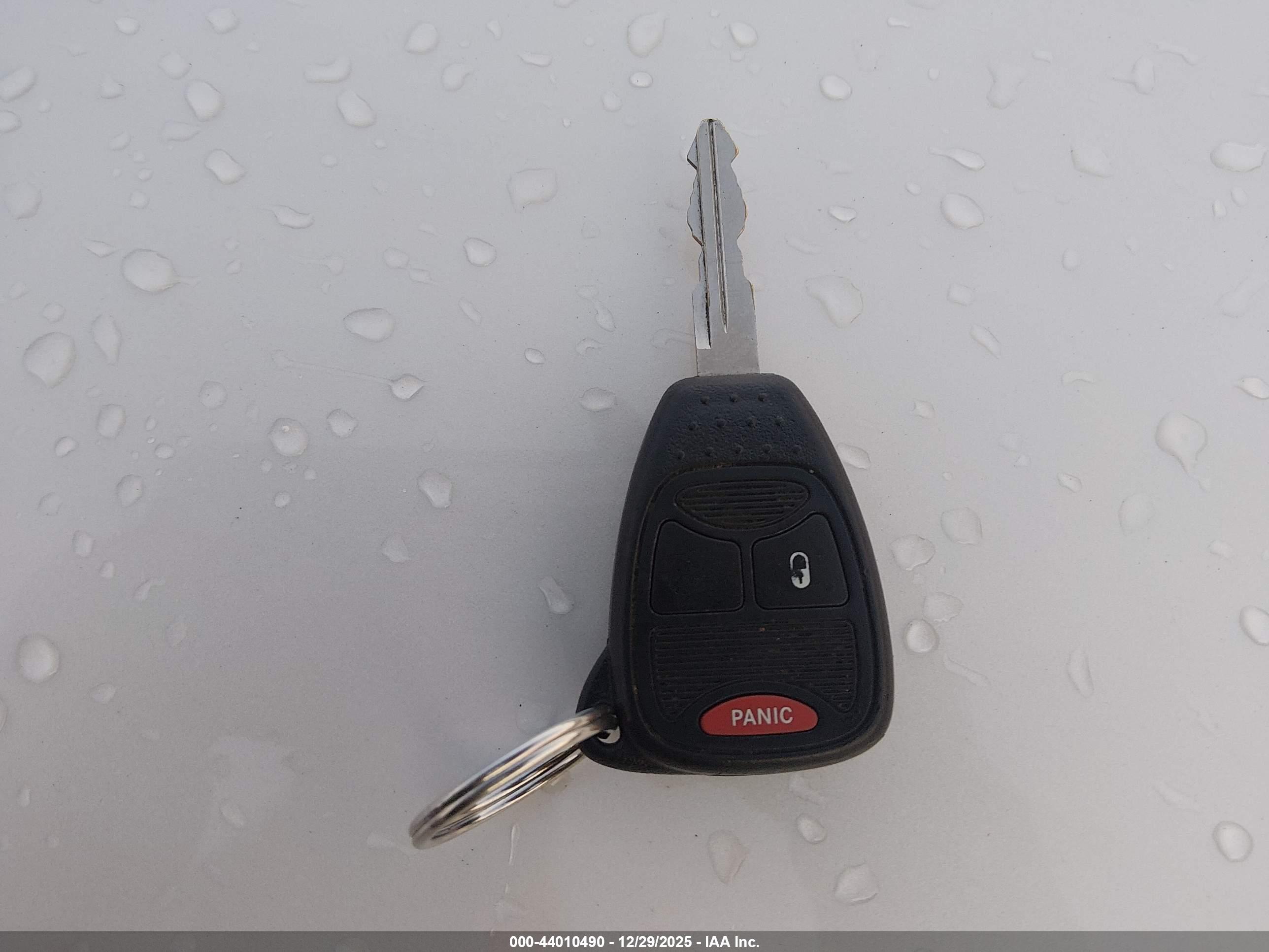 JEEP WRANGLER image 11