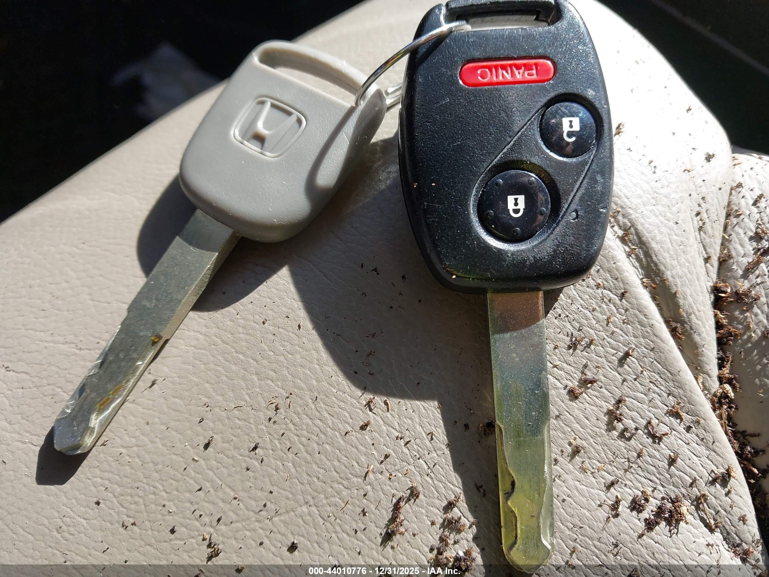 HONDA CR-V image 11
