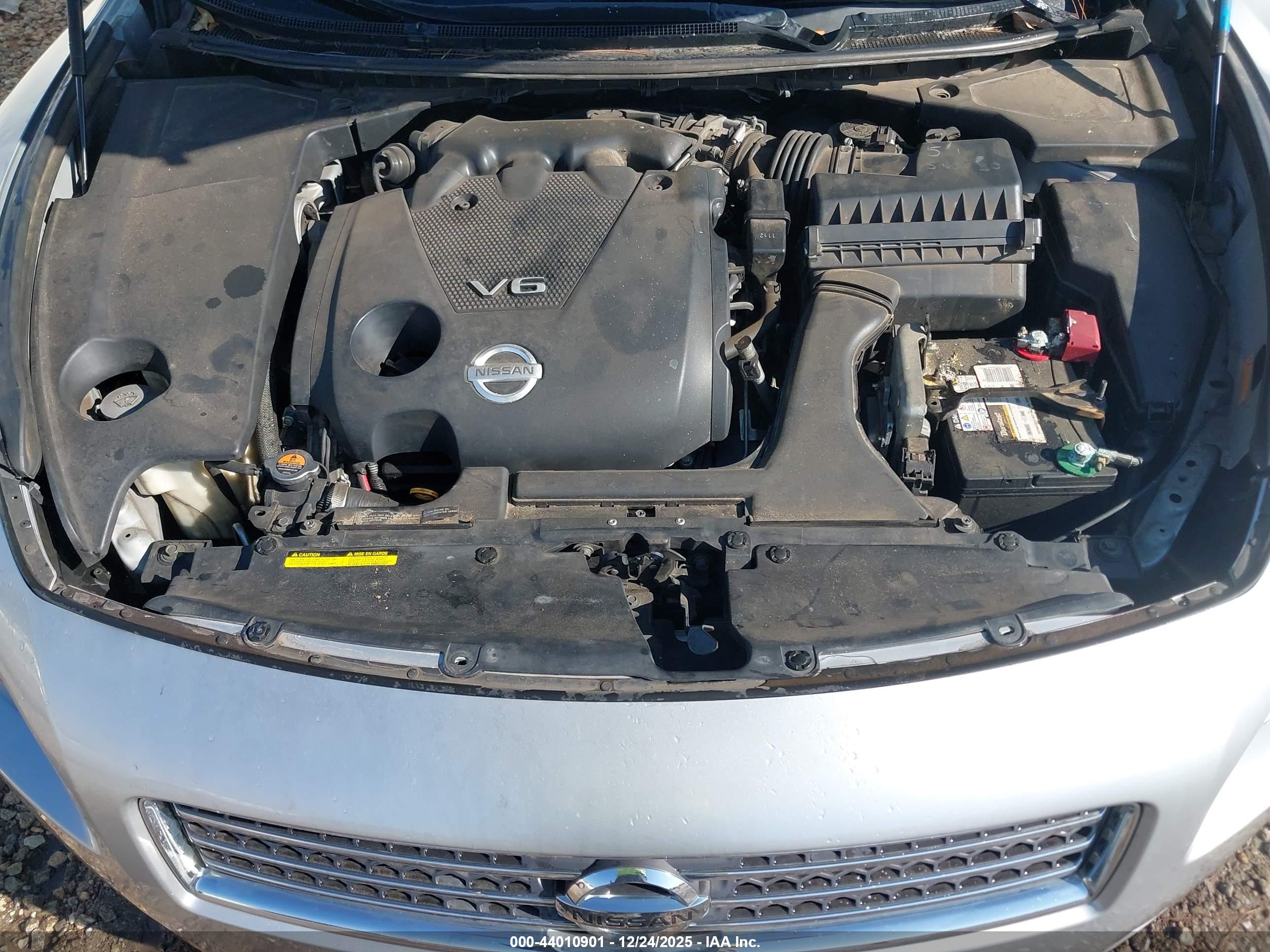 NISSAN MAXIMA image 10