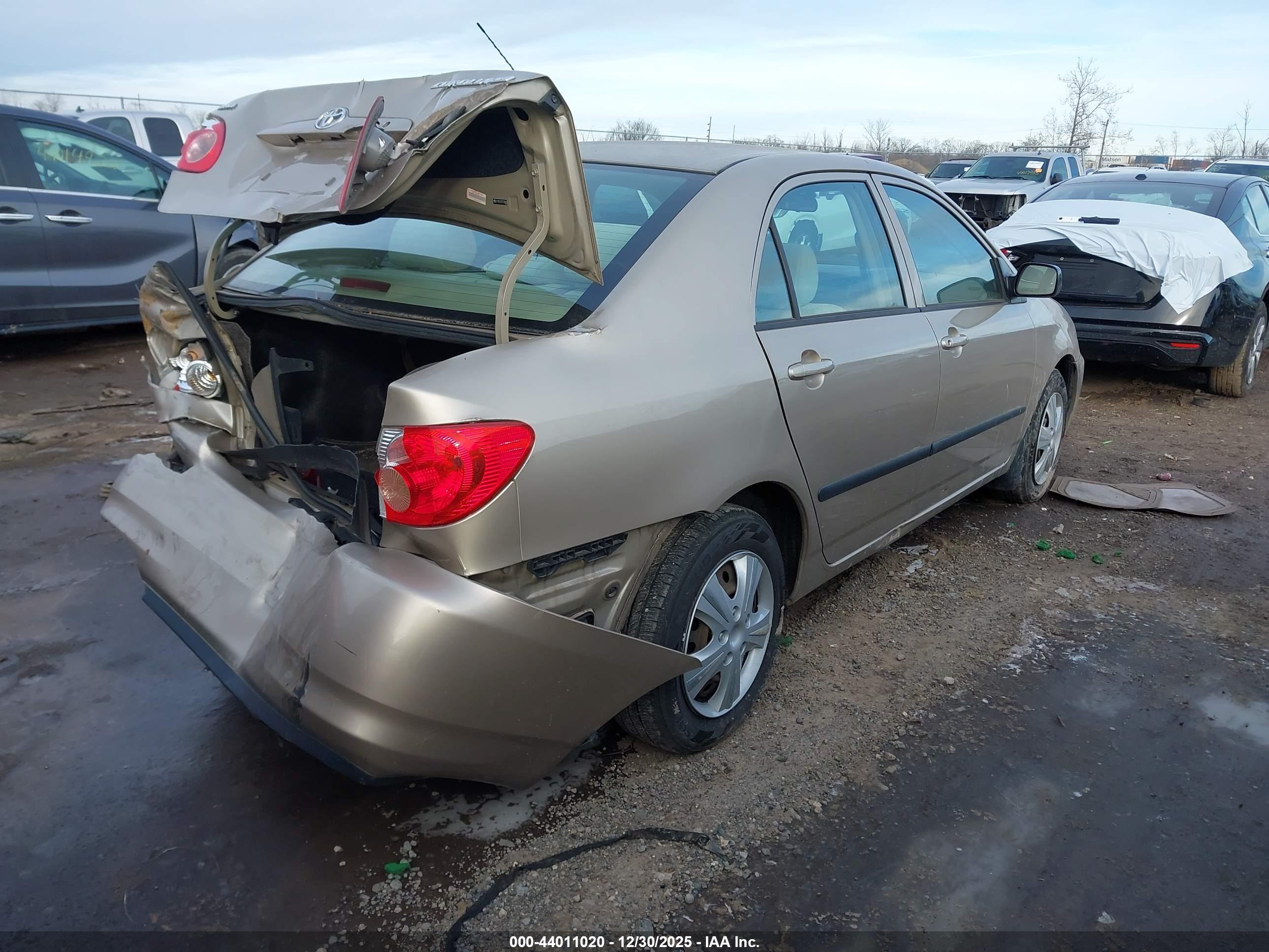 TOYOTA COROLLA image 4