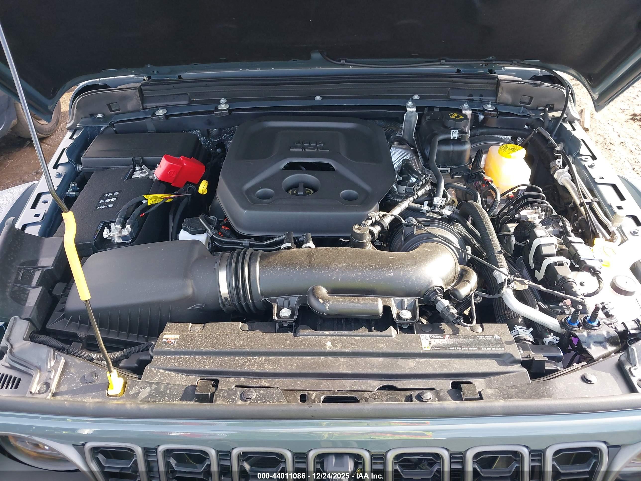 JEEP WRANGLER image 10
