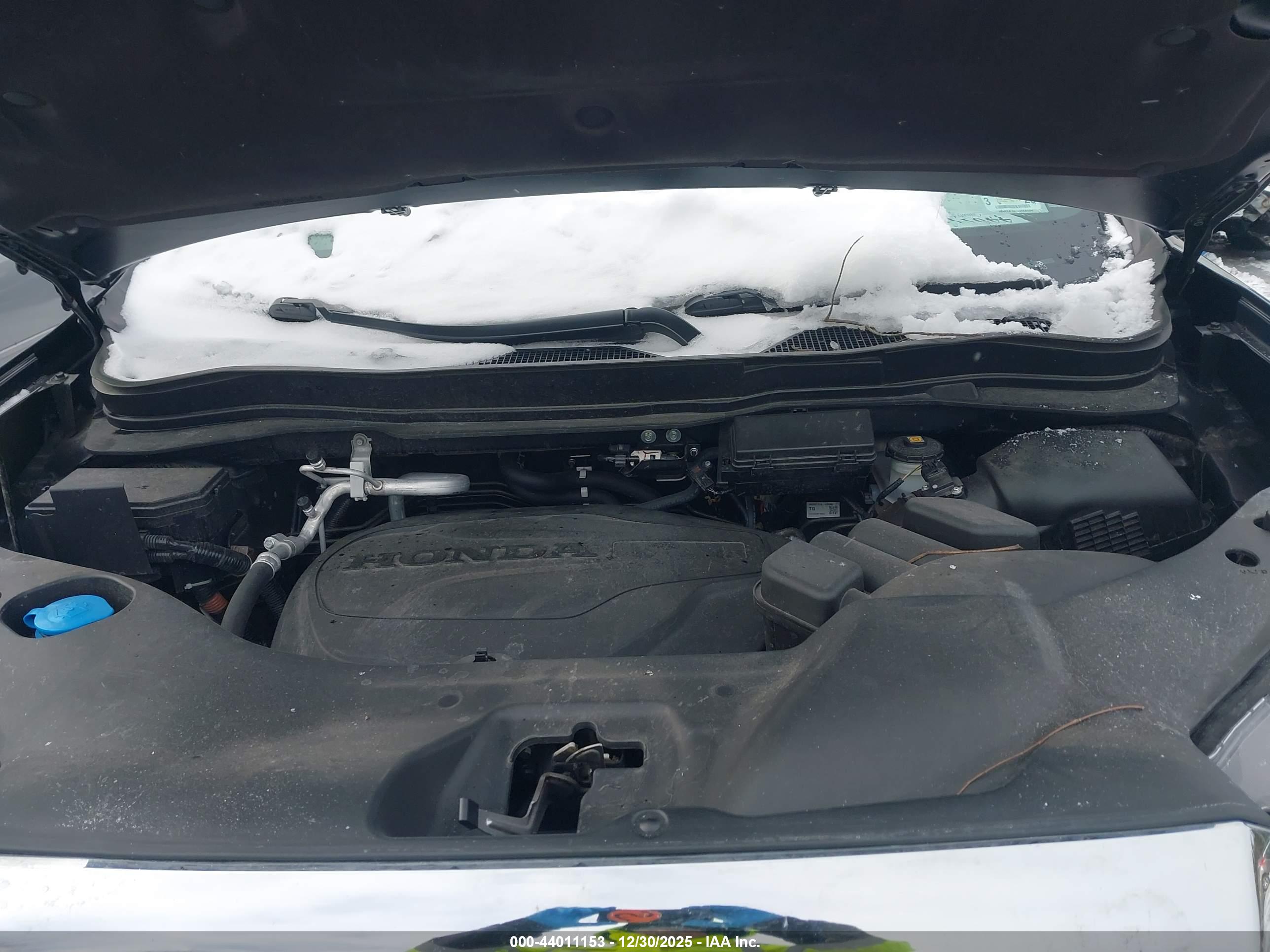 HONDA PASSPORT image 10