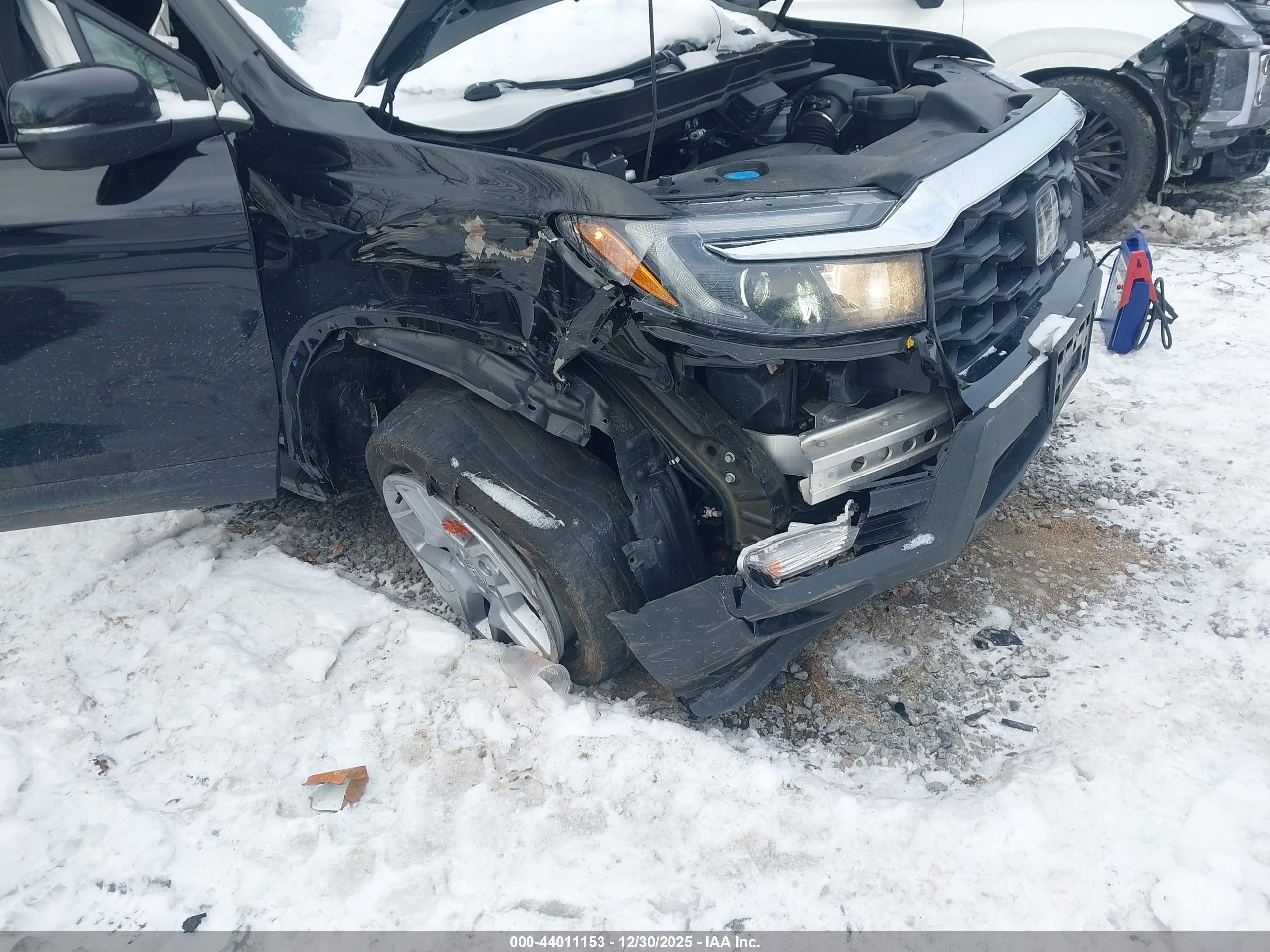 HONDA PASSPORT image 6