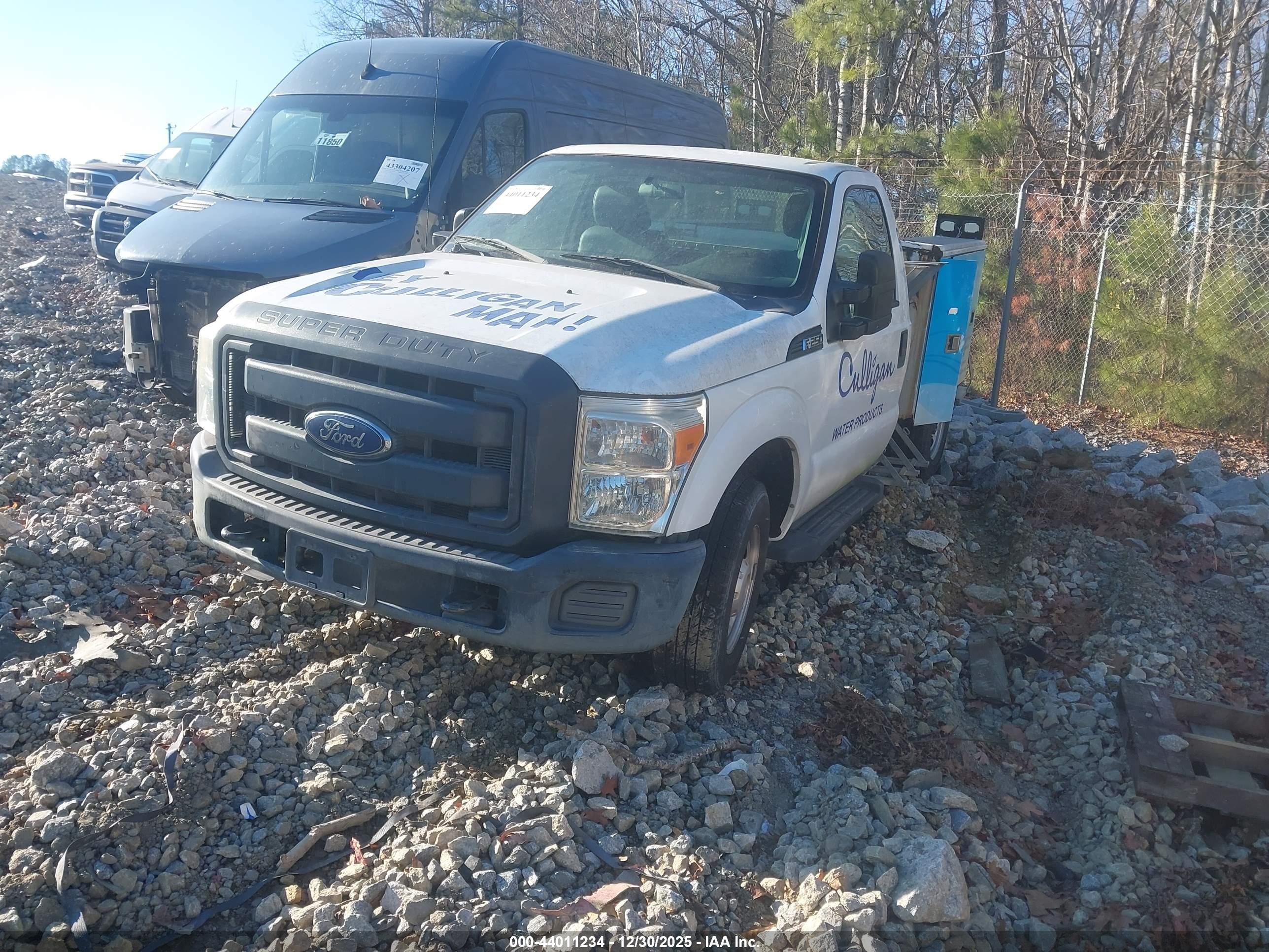 FORD F-250 image 2