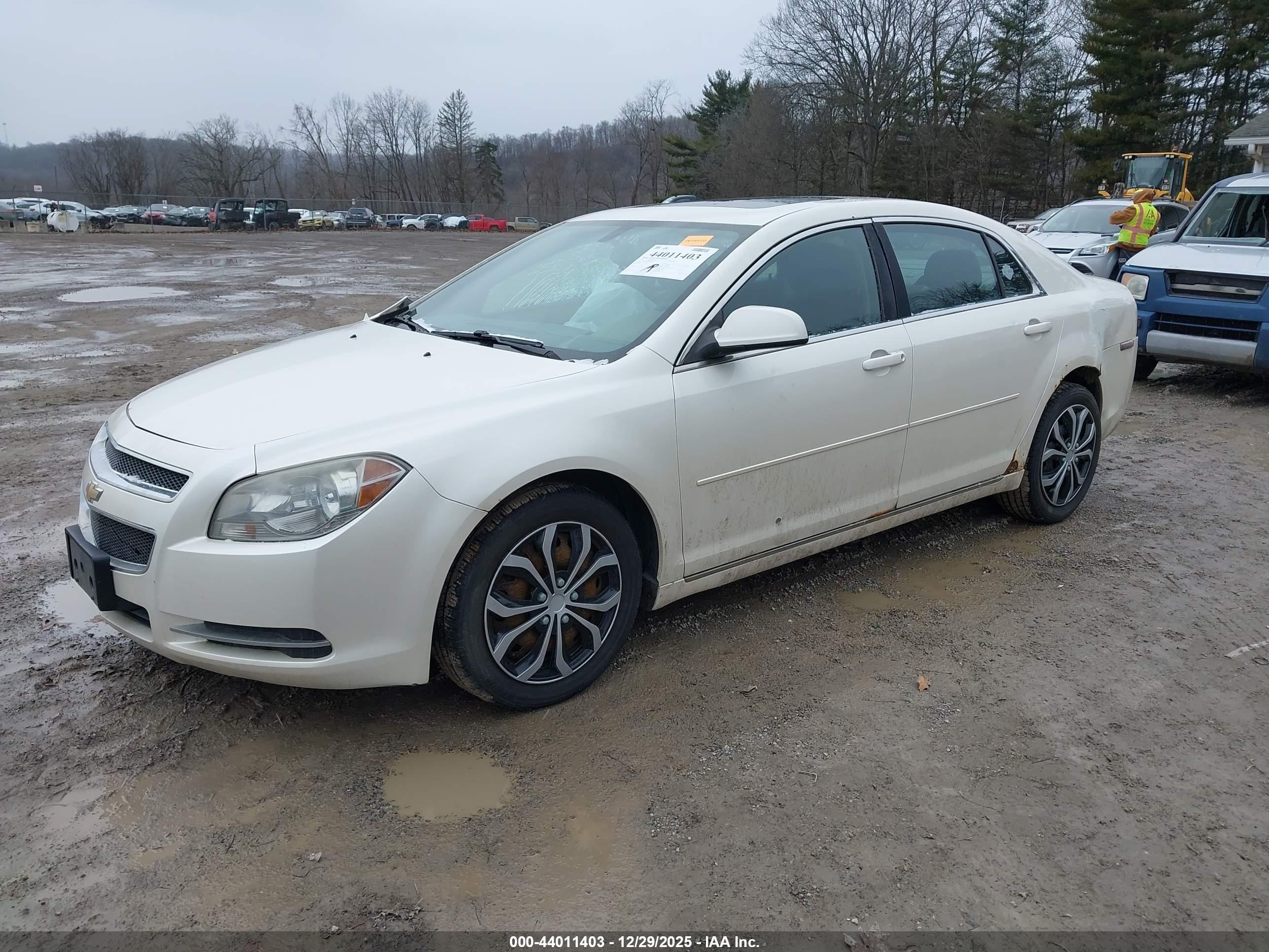 CHEVROLET MALIBU image 2