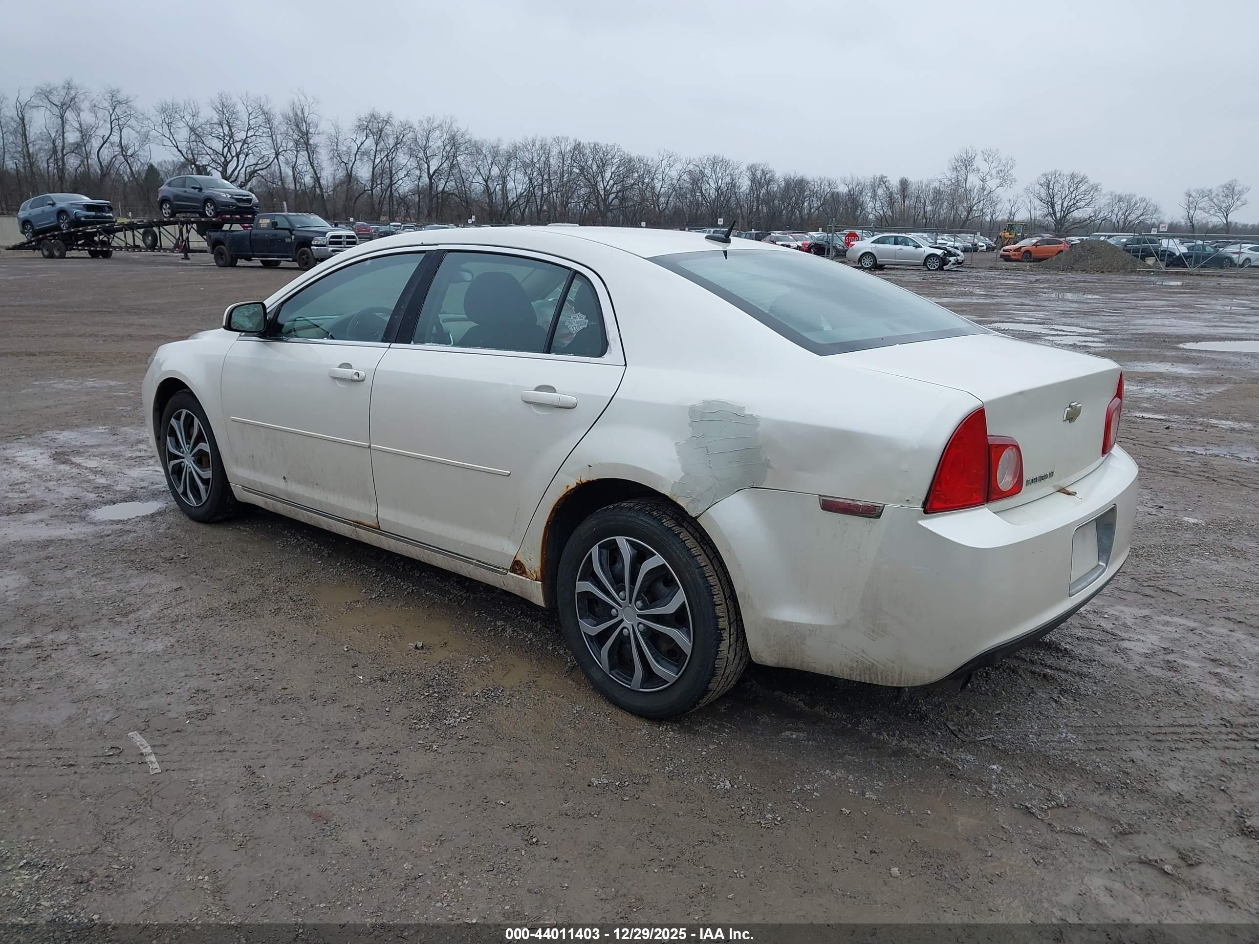 CHEVROLET MALIBU image 3