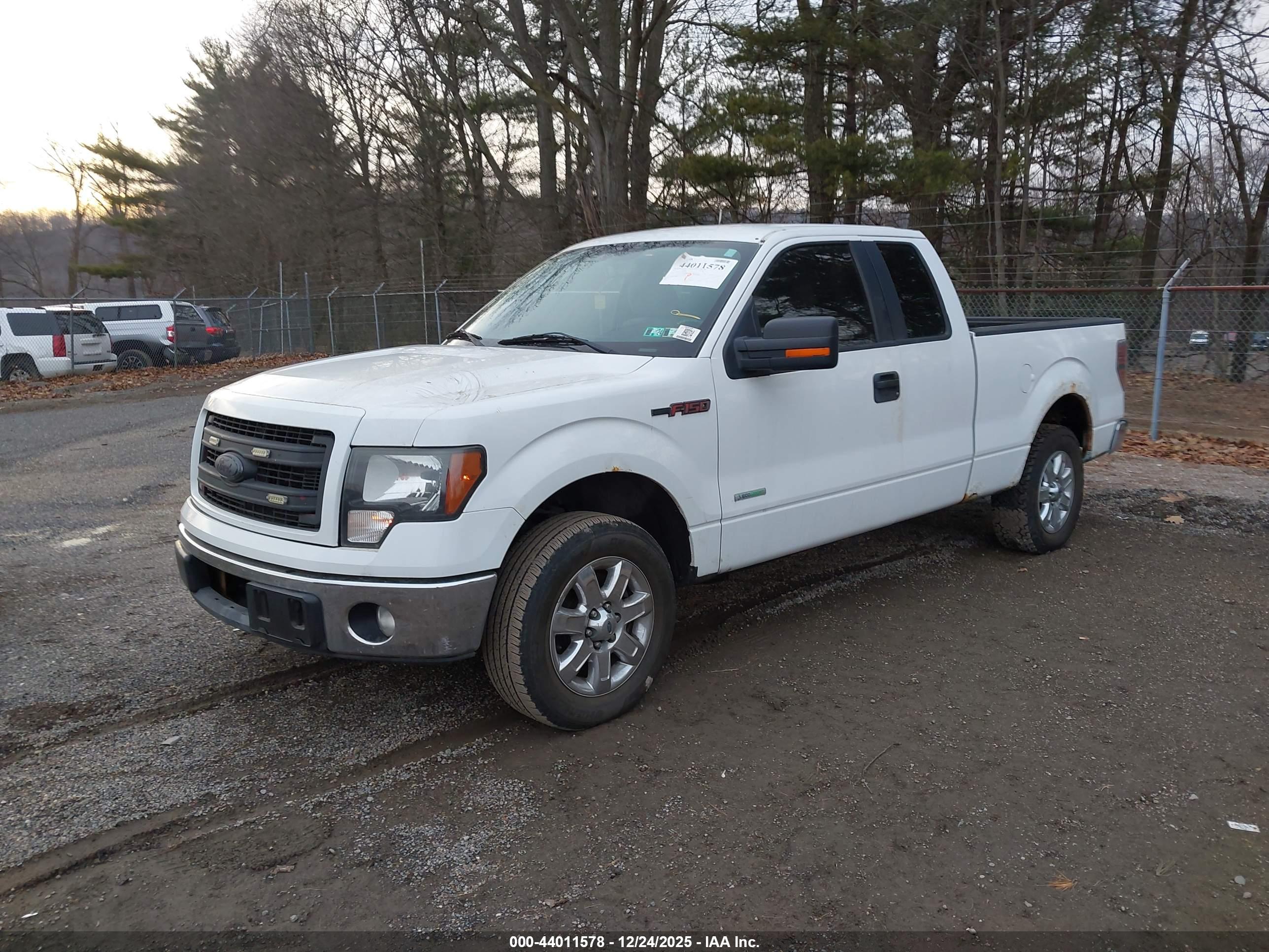 FORD F-150 image 2