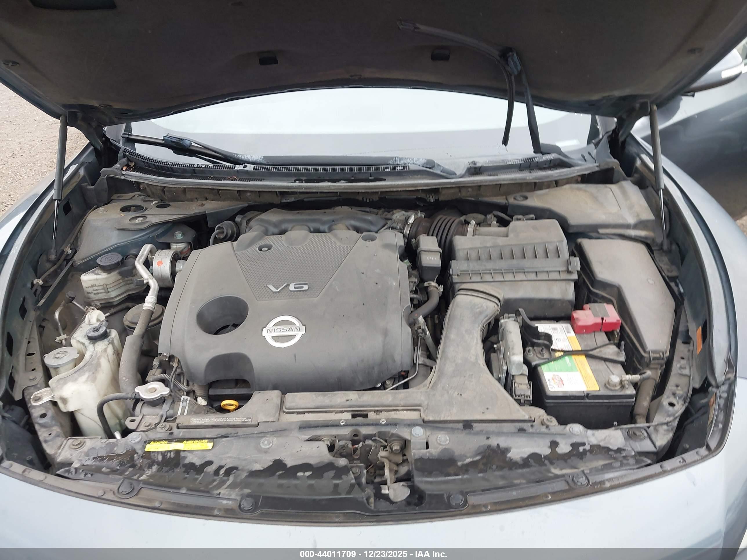 NISSAN MAXIMA image 10