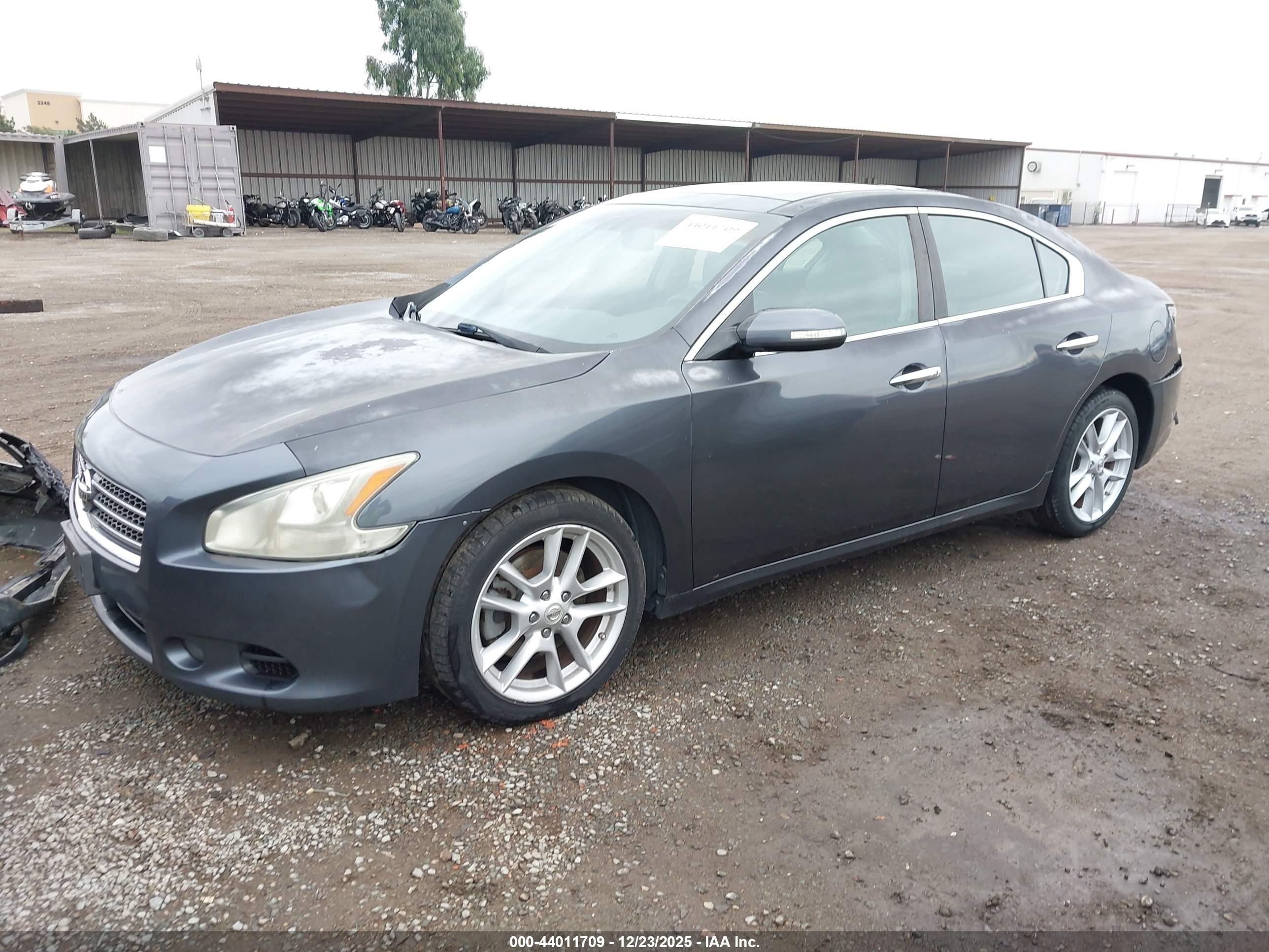 NISSAN MAXIMA image 2