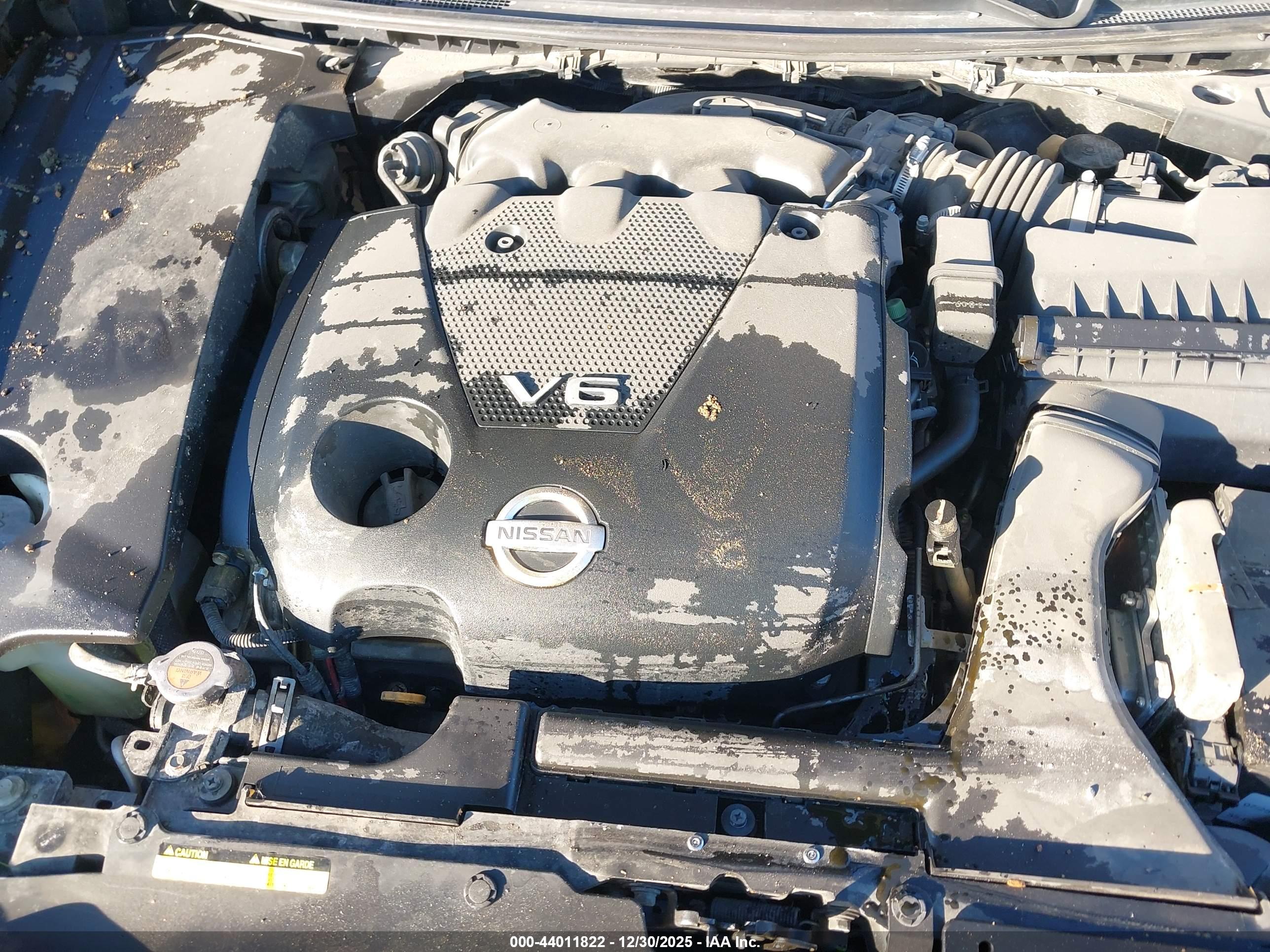 NISSAN MAXIMA image 10