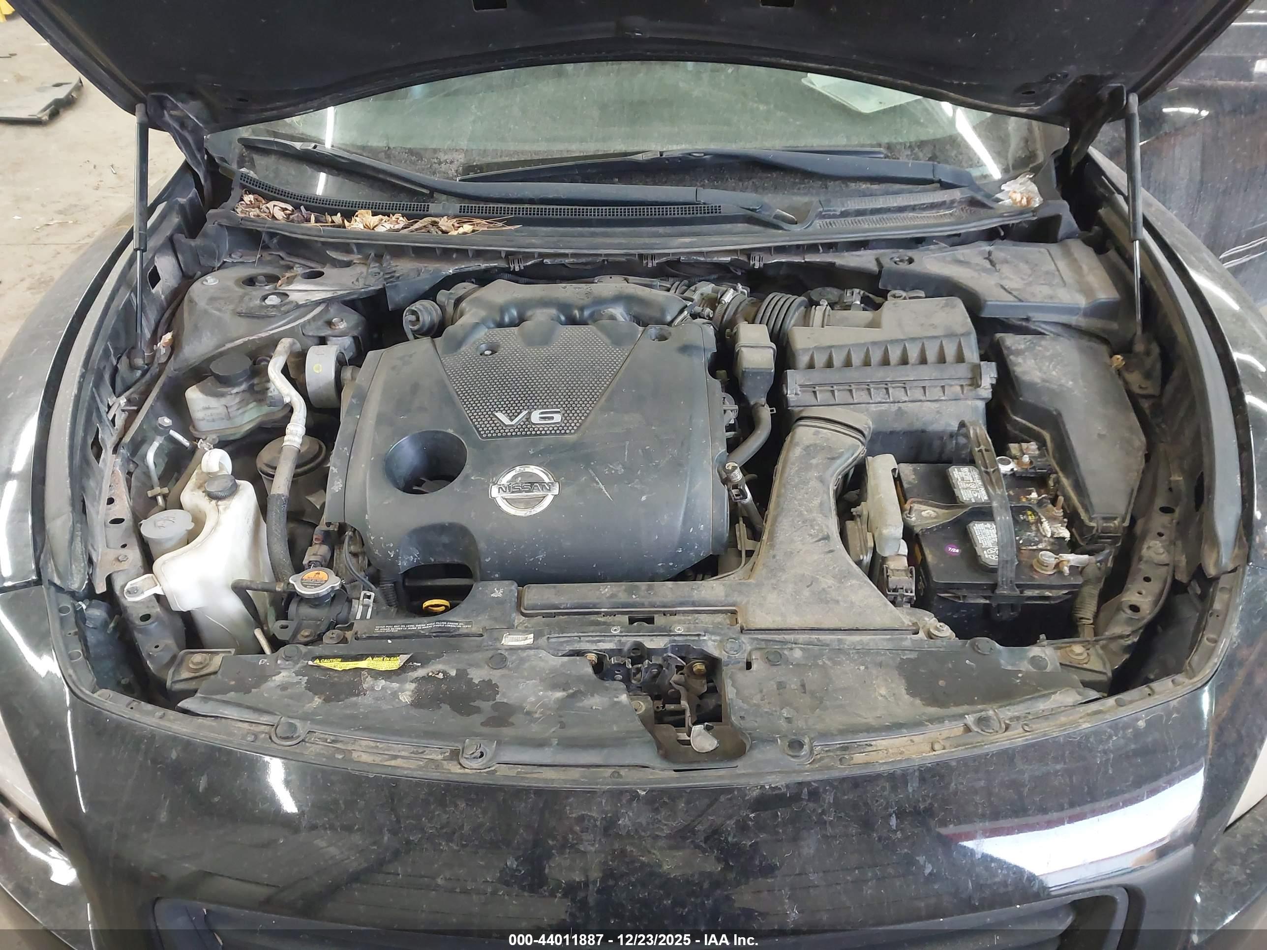 NISSAN MAXIMA image 10