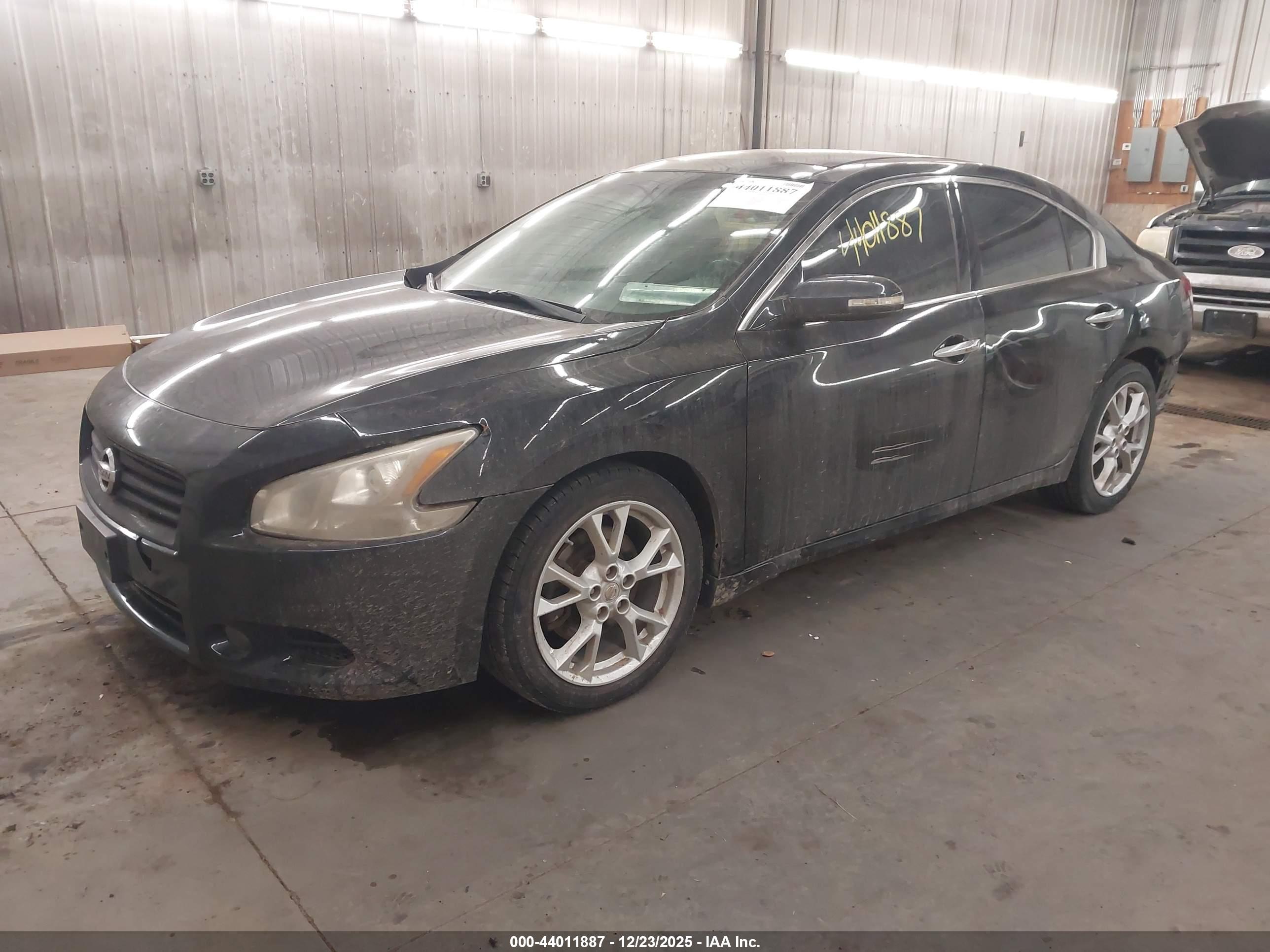 NISSAN MAXIMA image 2