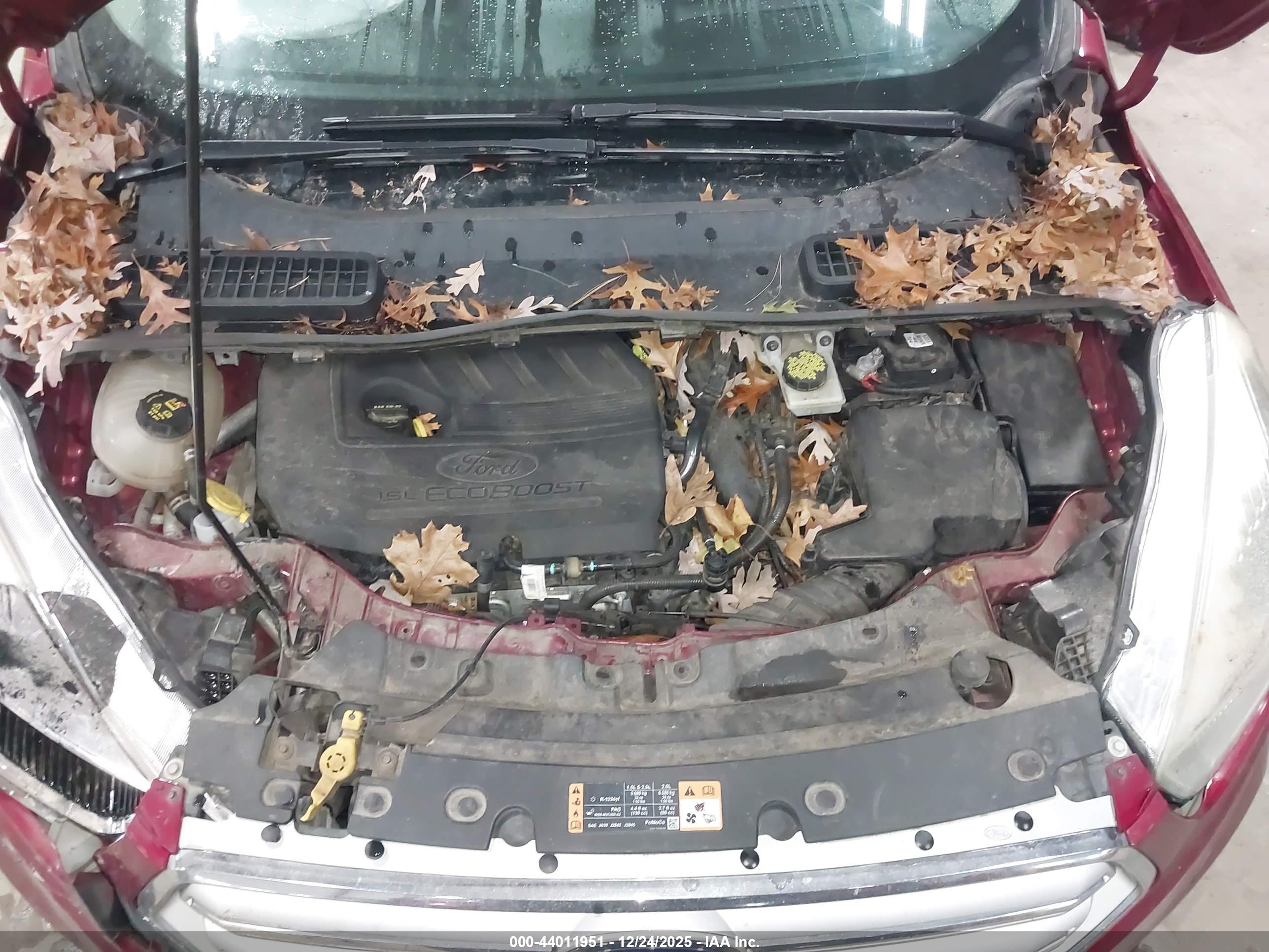 FORD ESCAPE image 10