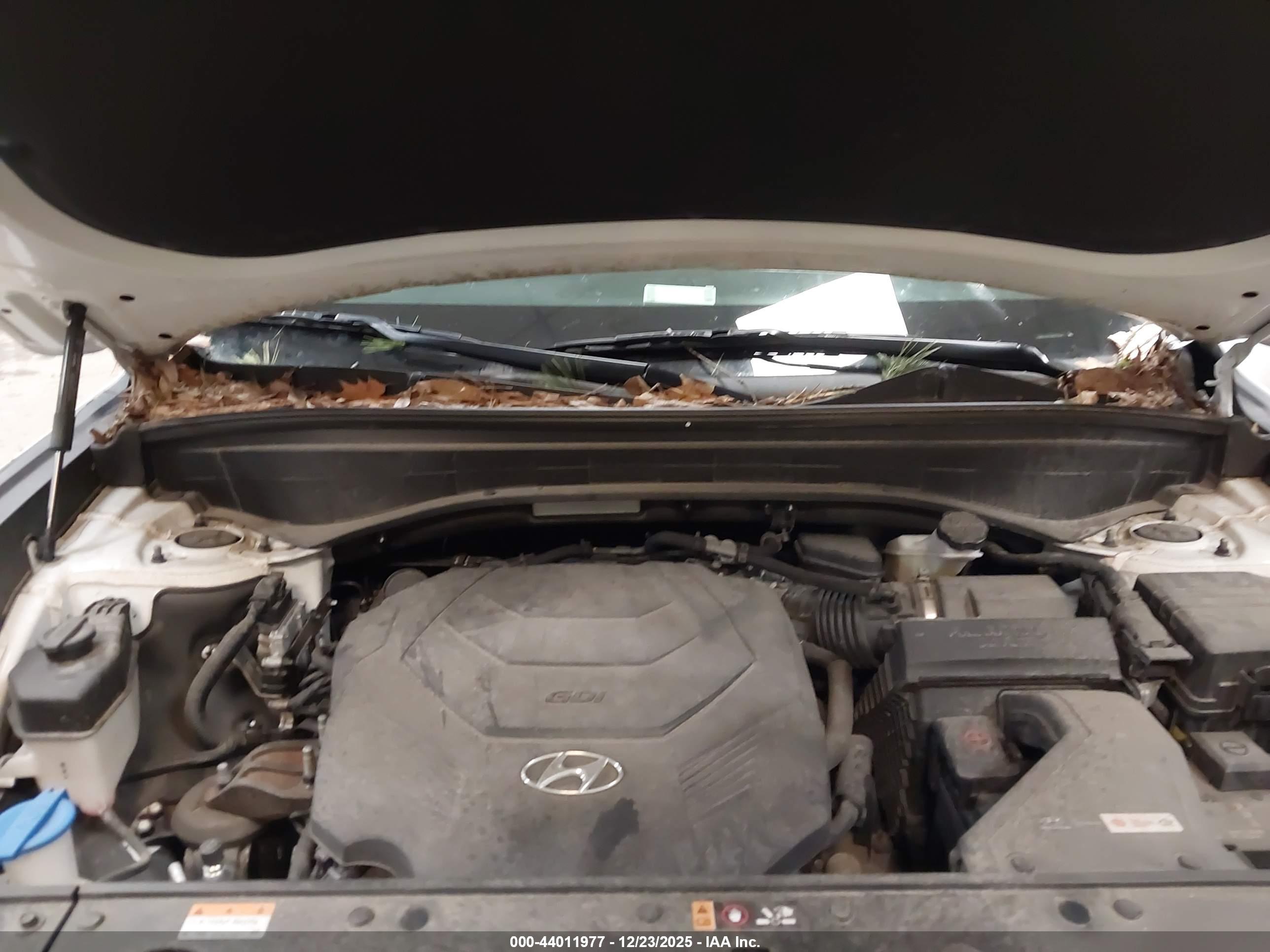 HYUNDAI PALISADE image 10