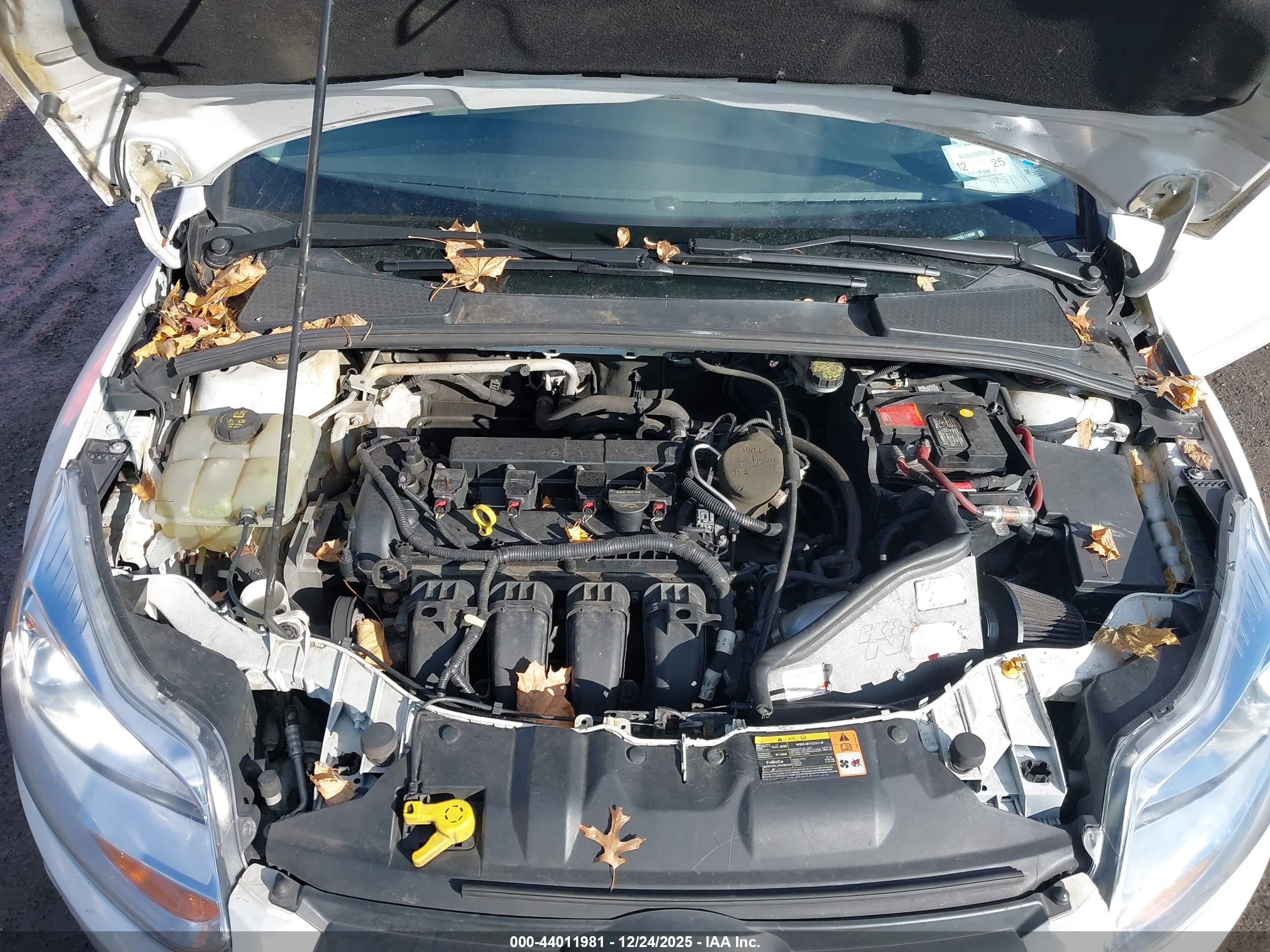 FORD FOCUS image 10