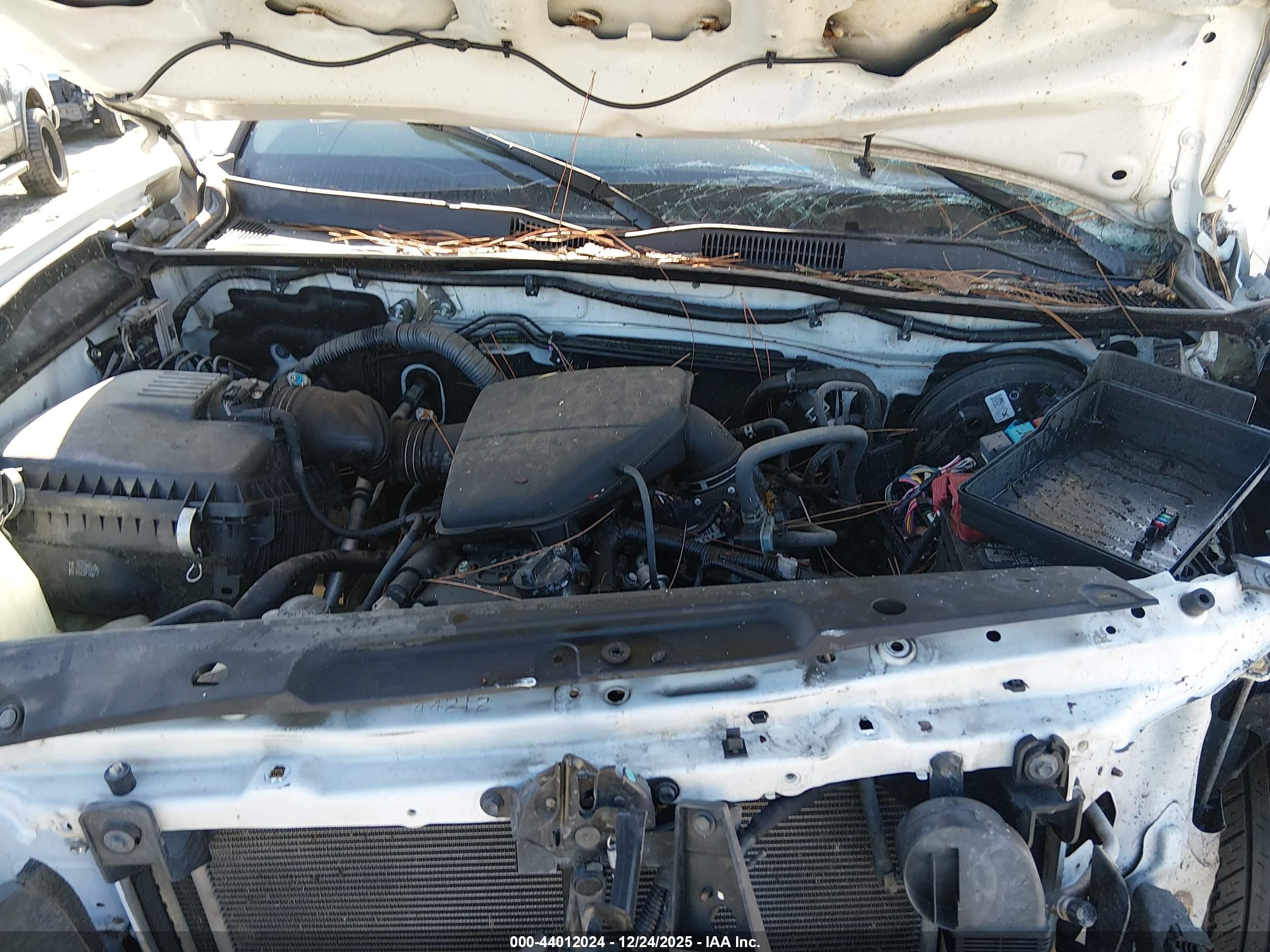 TOYOTA TACOMA image 10