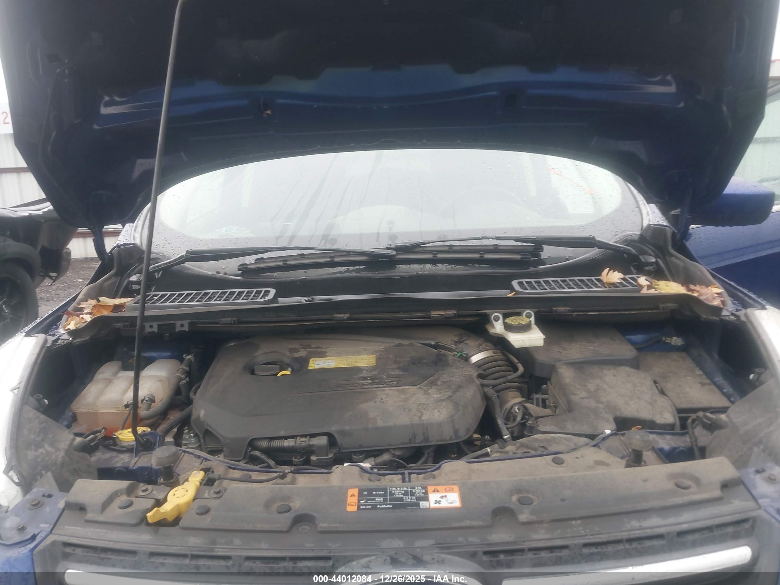 FORD ESCAPE image 10