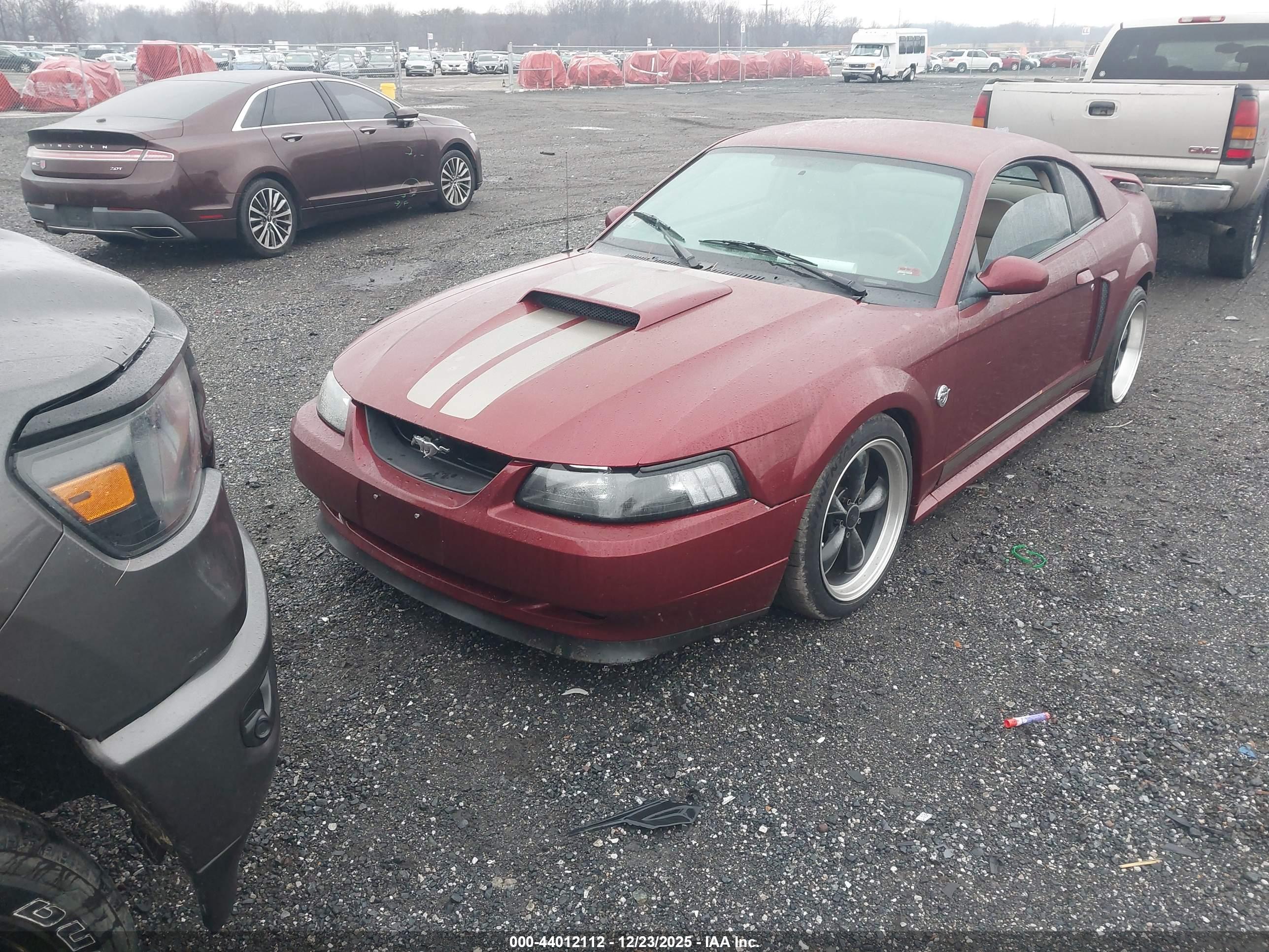 FORD MUSTANG image 2
