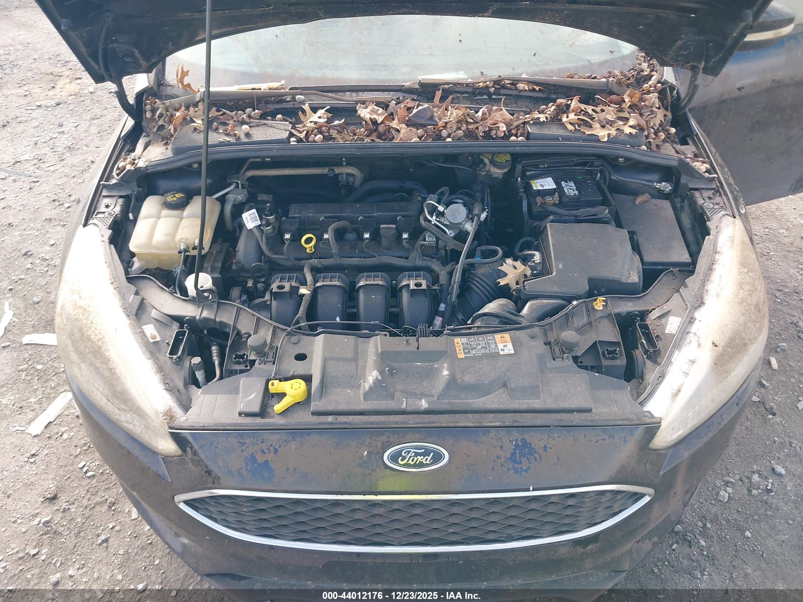 FORD FOCUS image 10