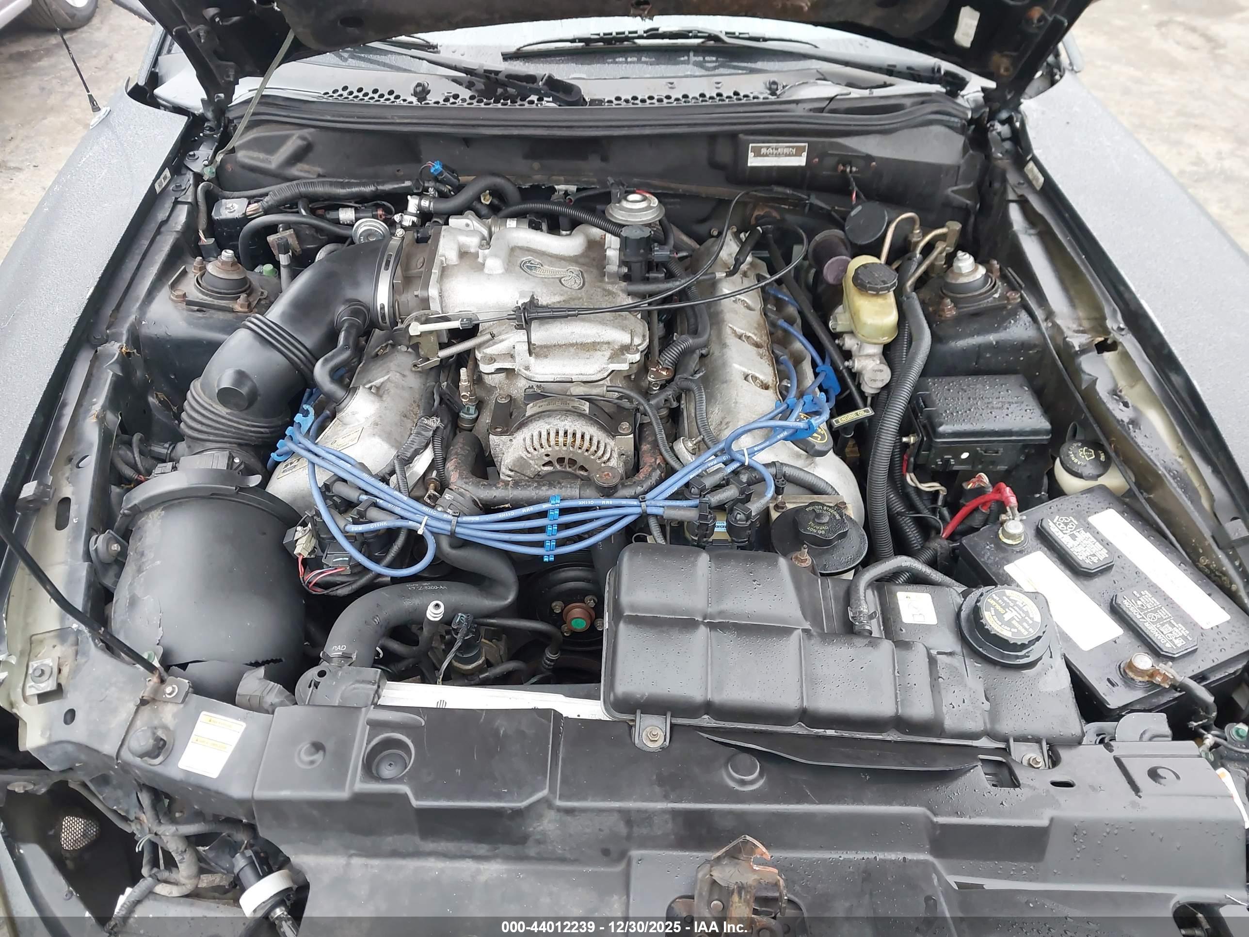 FORD MUSTANG image 10