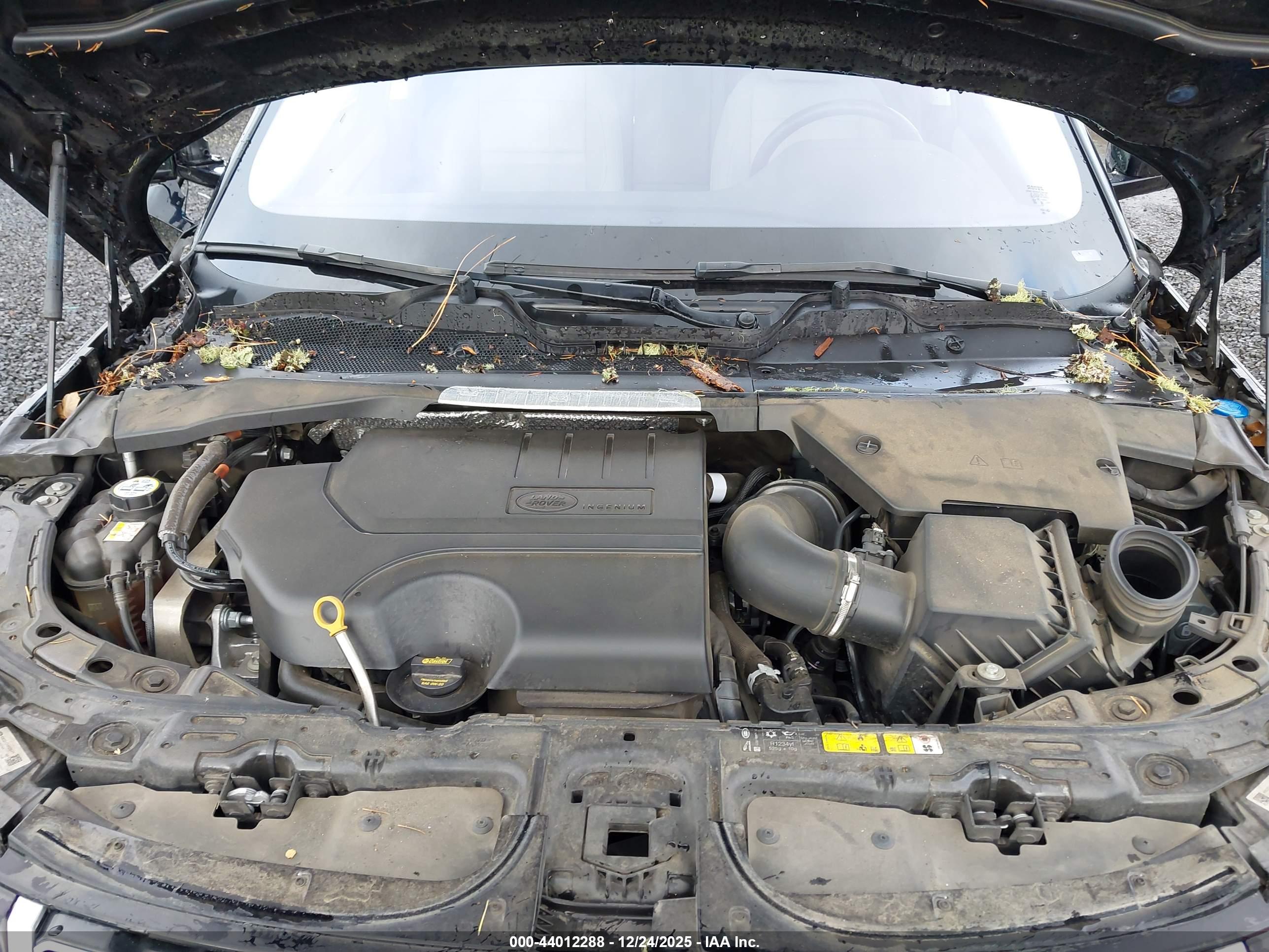 LAND ROVER image 10