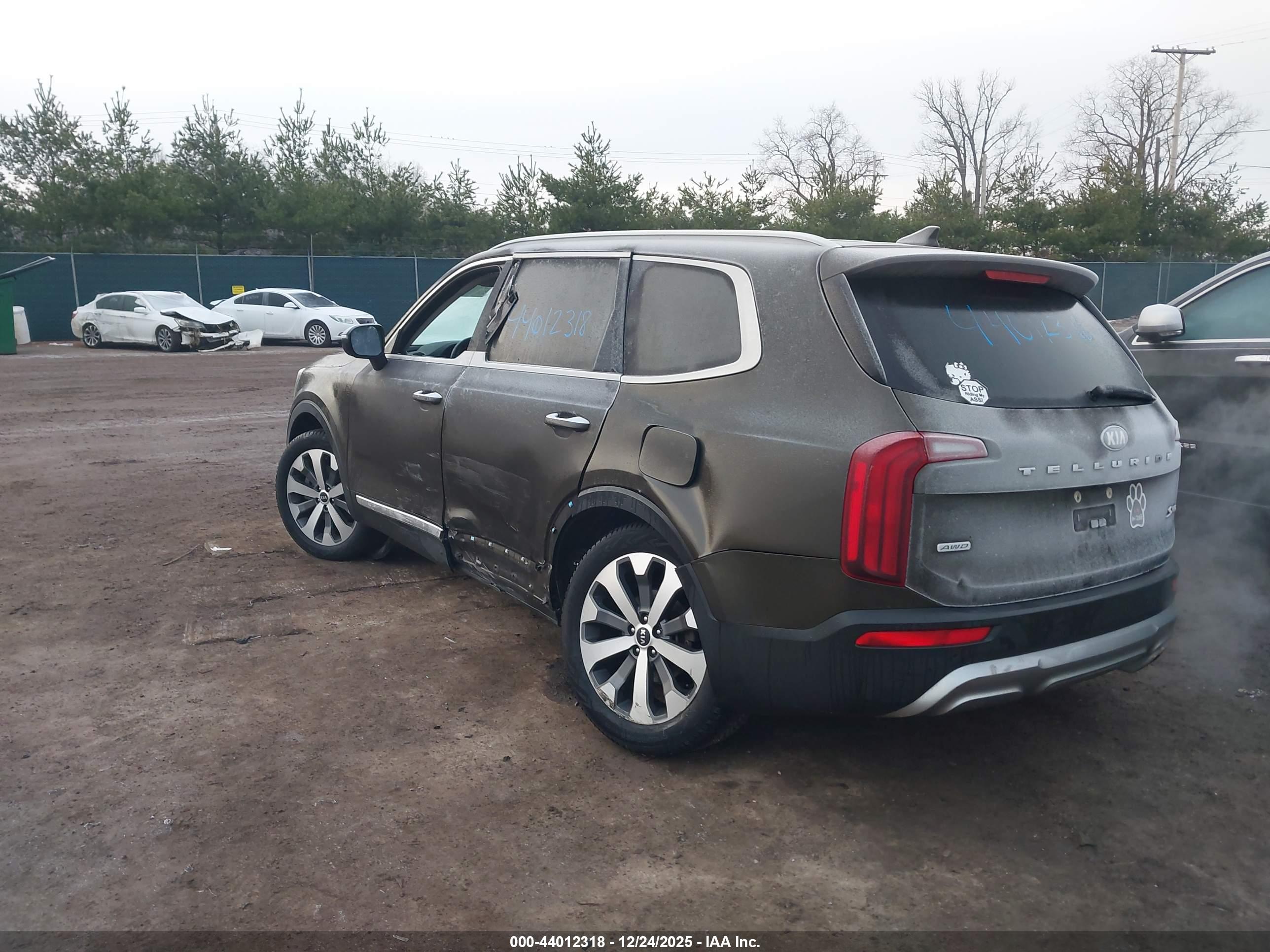 KIA TELLURIDE image 3
