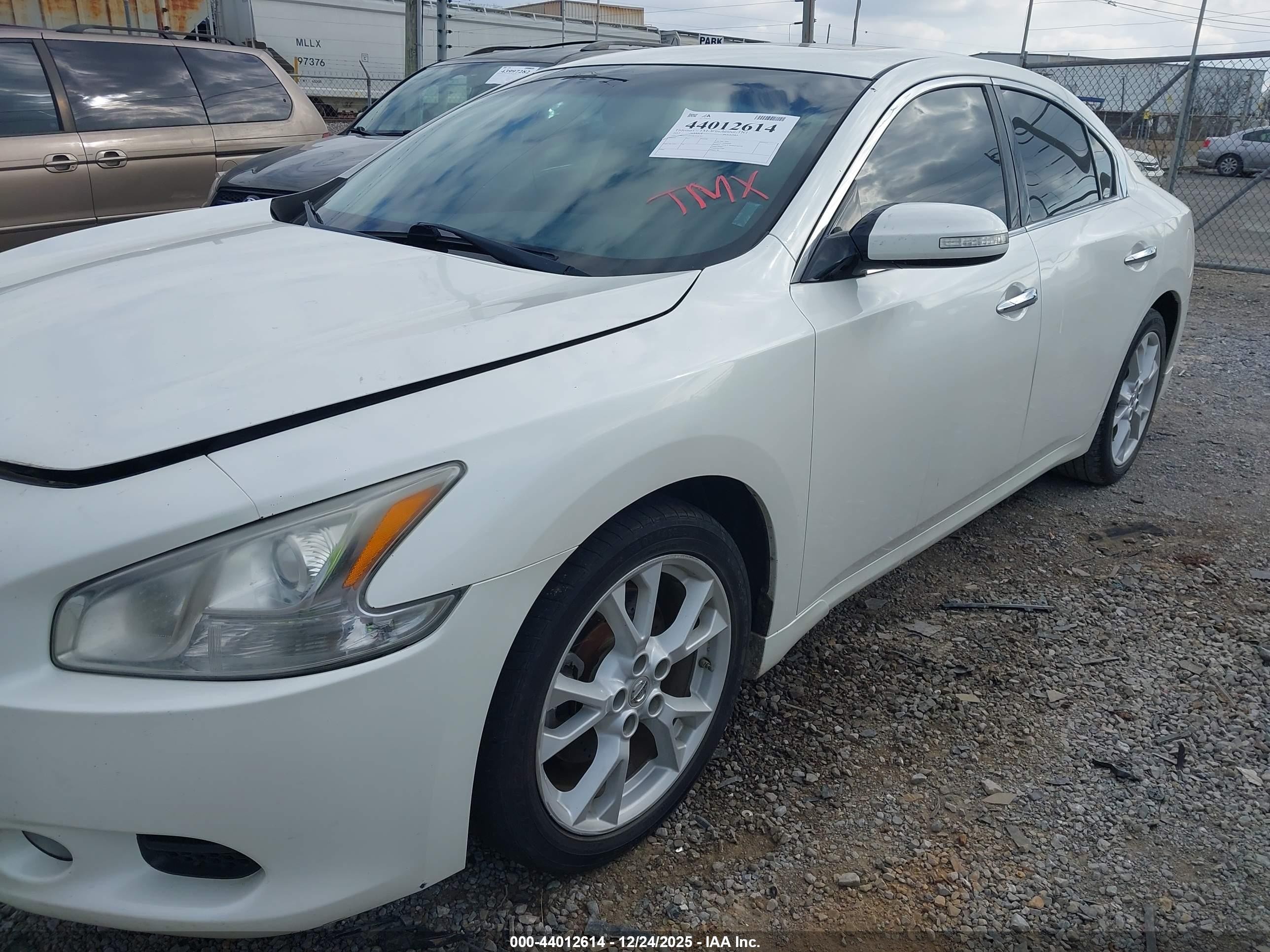 NISSAN MAXIMA image 2