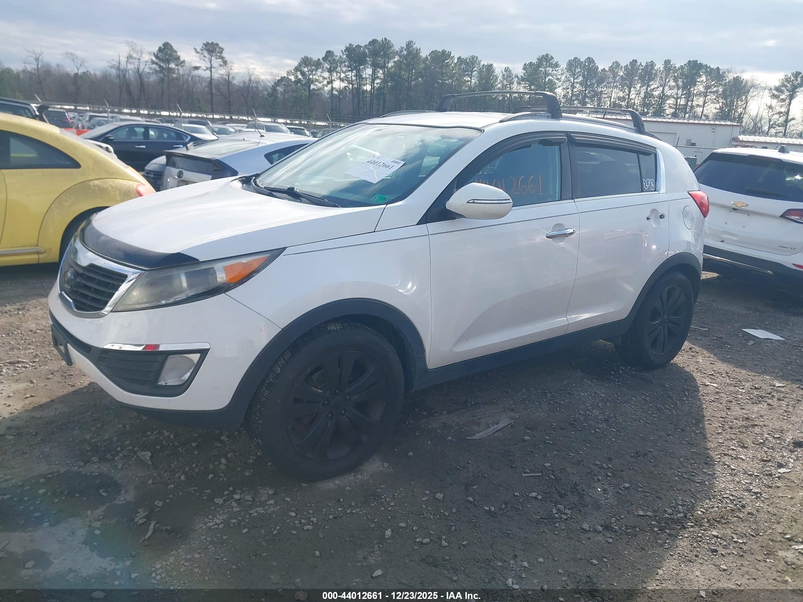 KIA SPORTAGE image 2