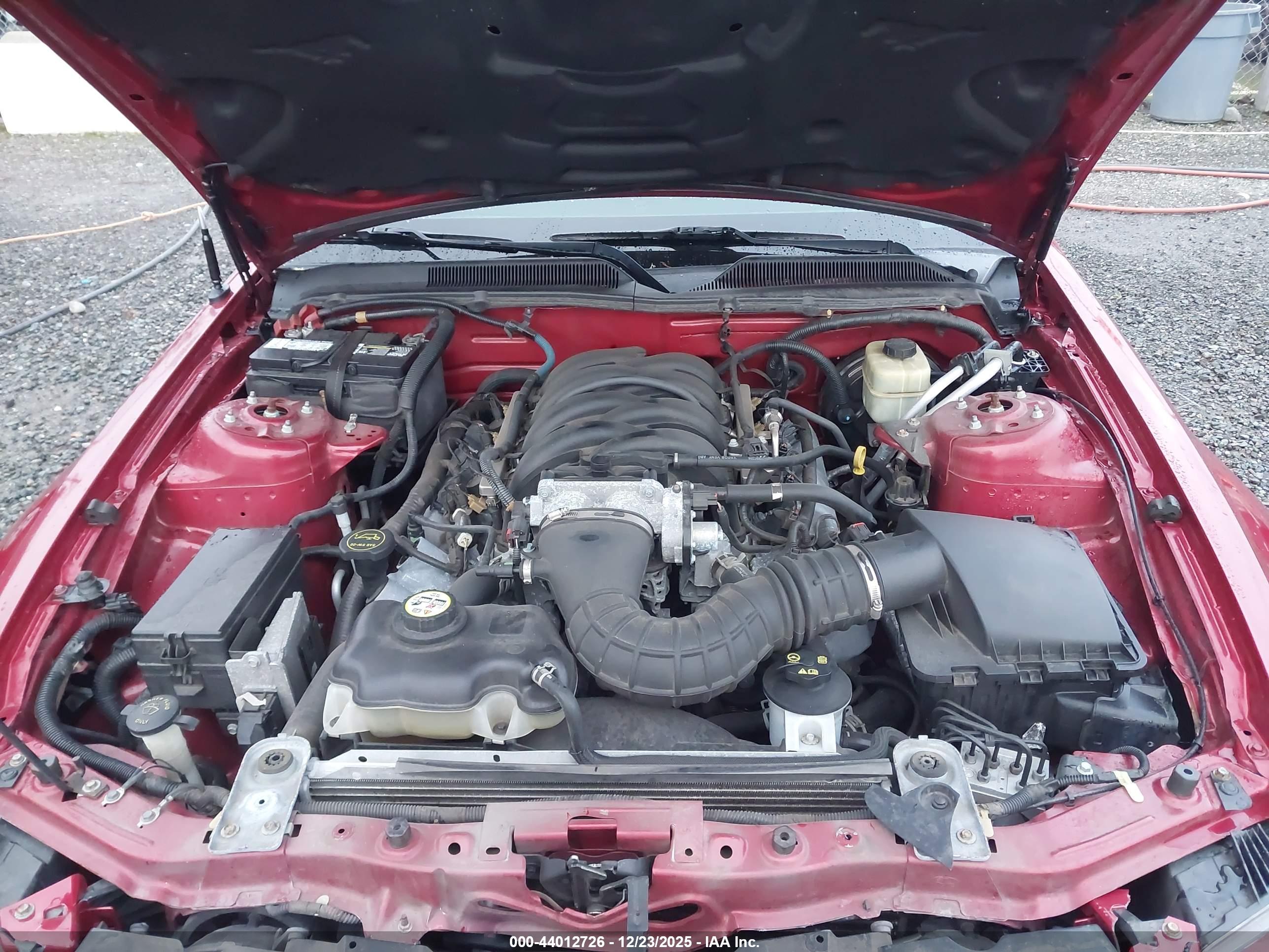 FORD MUSTANG image 10