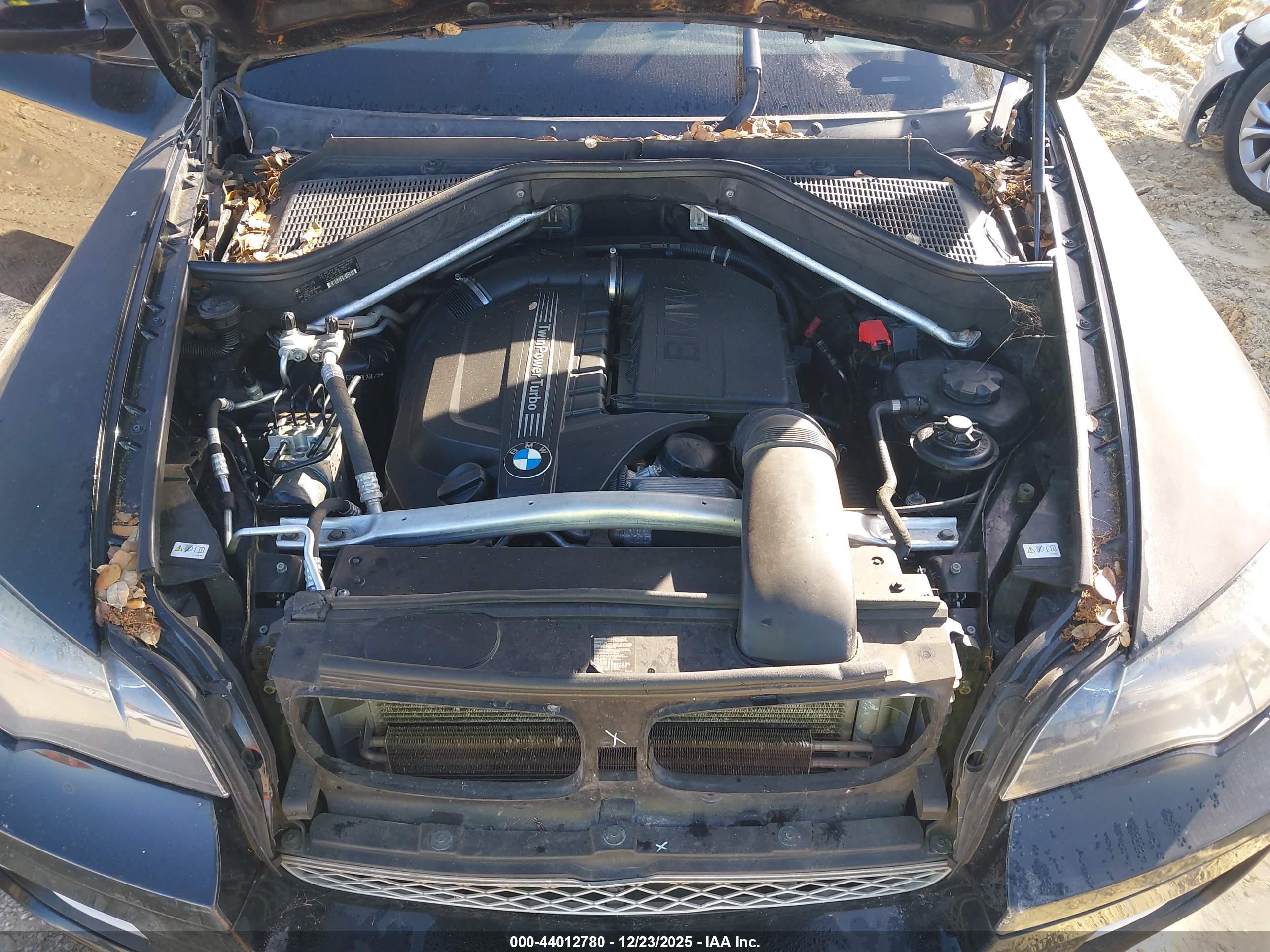 BMW X6 image 10
