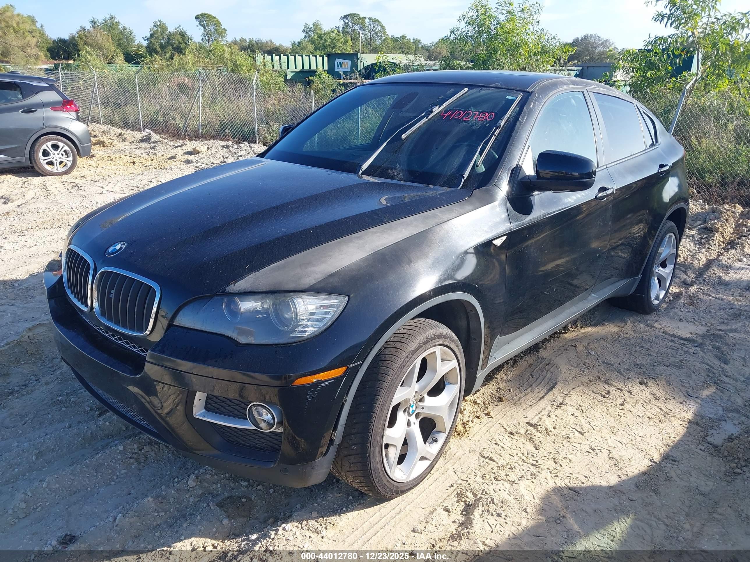 BMW X6 image 2