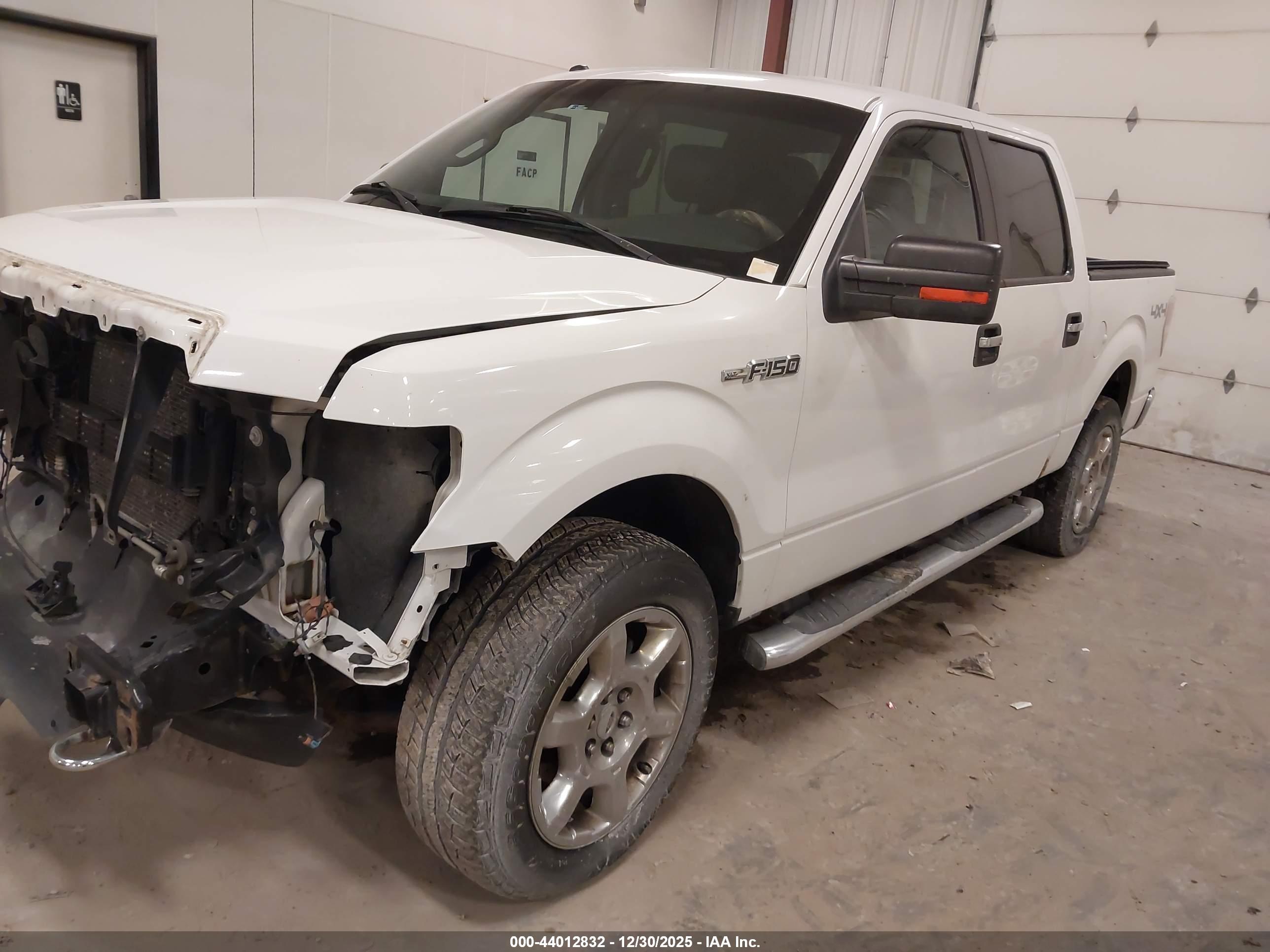 FORD F-150 image 2