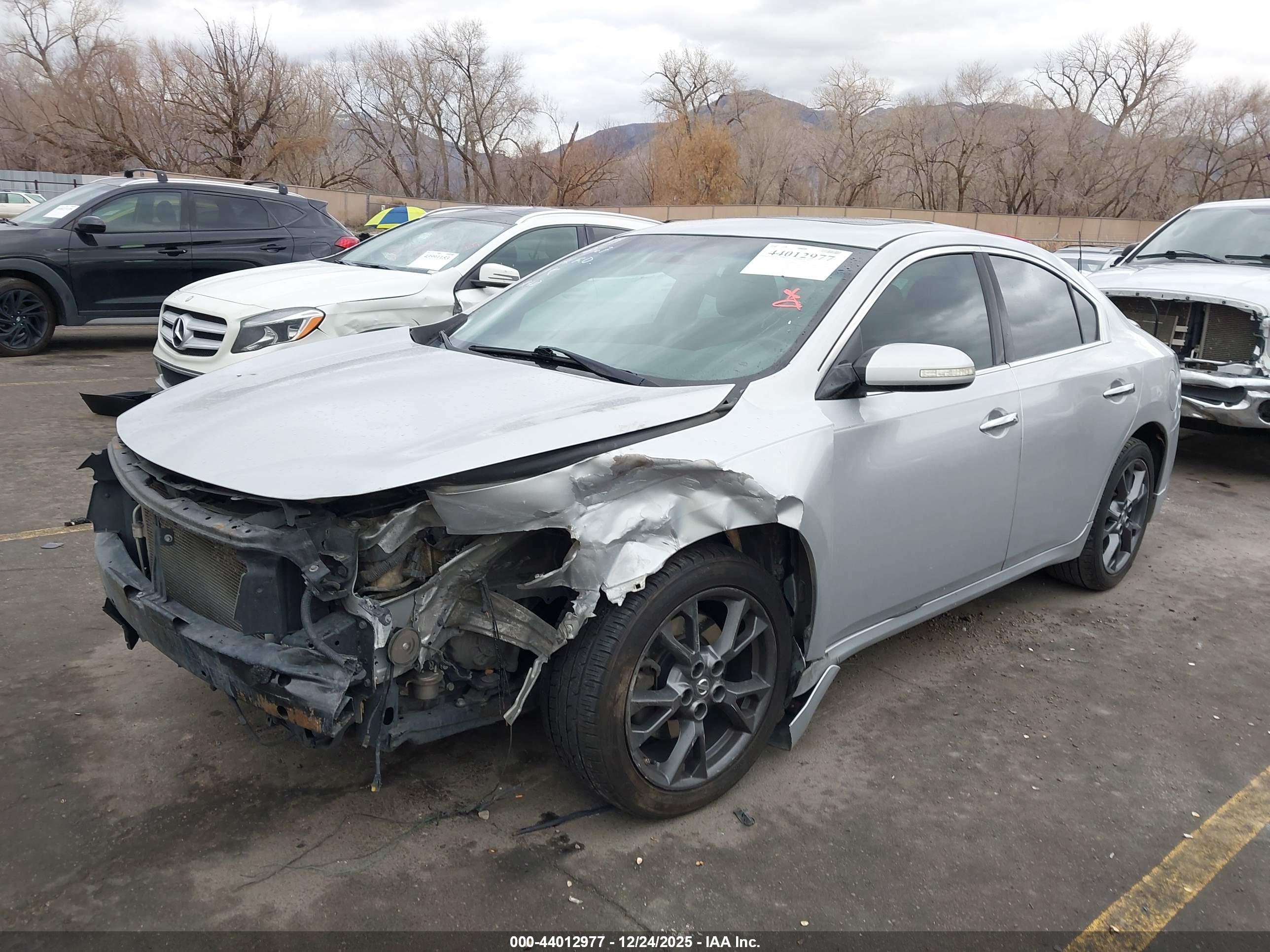 NISSAN MAXIMA image 2