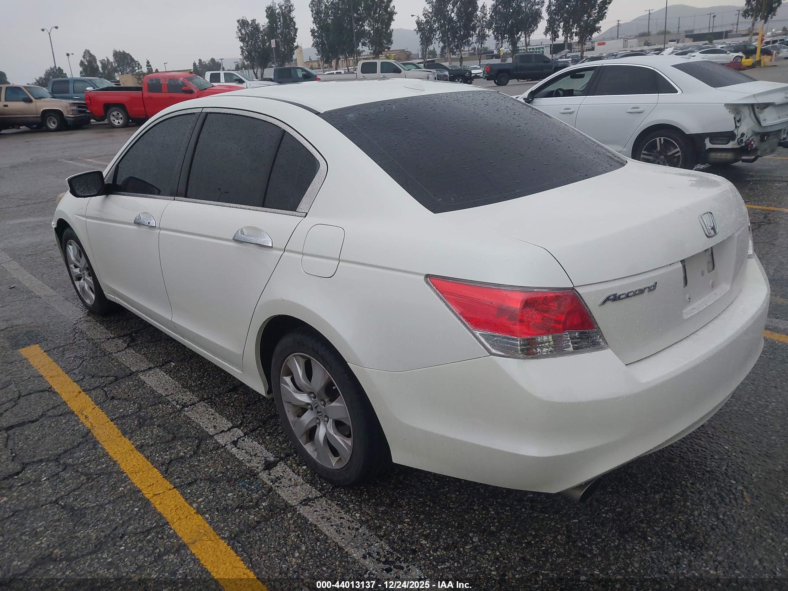 HONDA ACCORD image 3