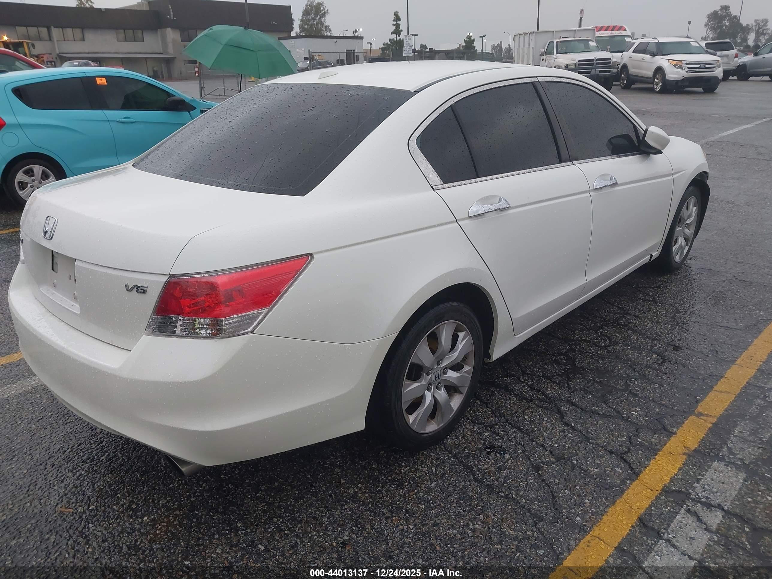 HONDA ACCORD image 4