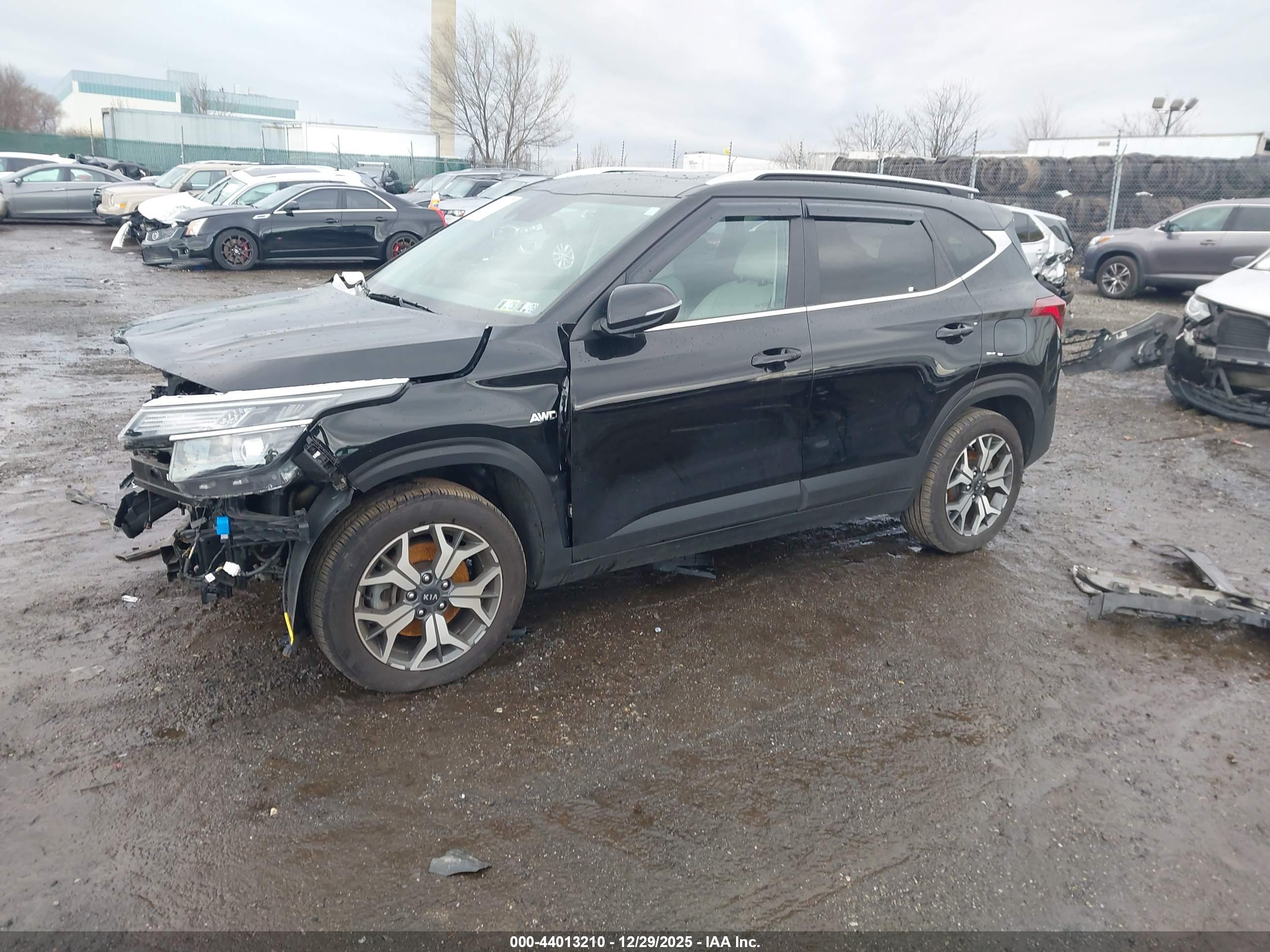 KIA SELTOS image 2