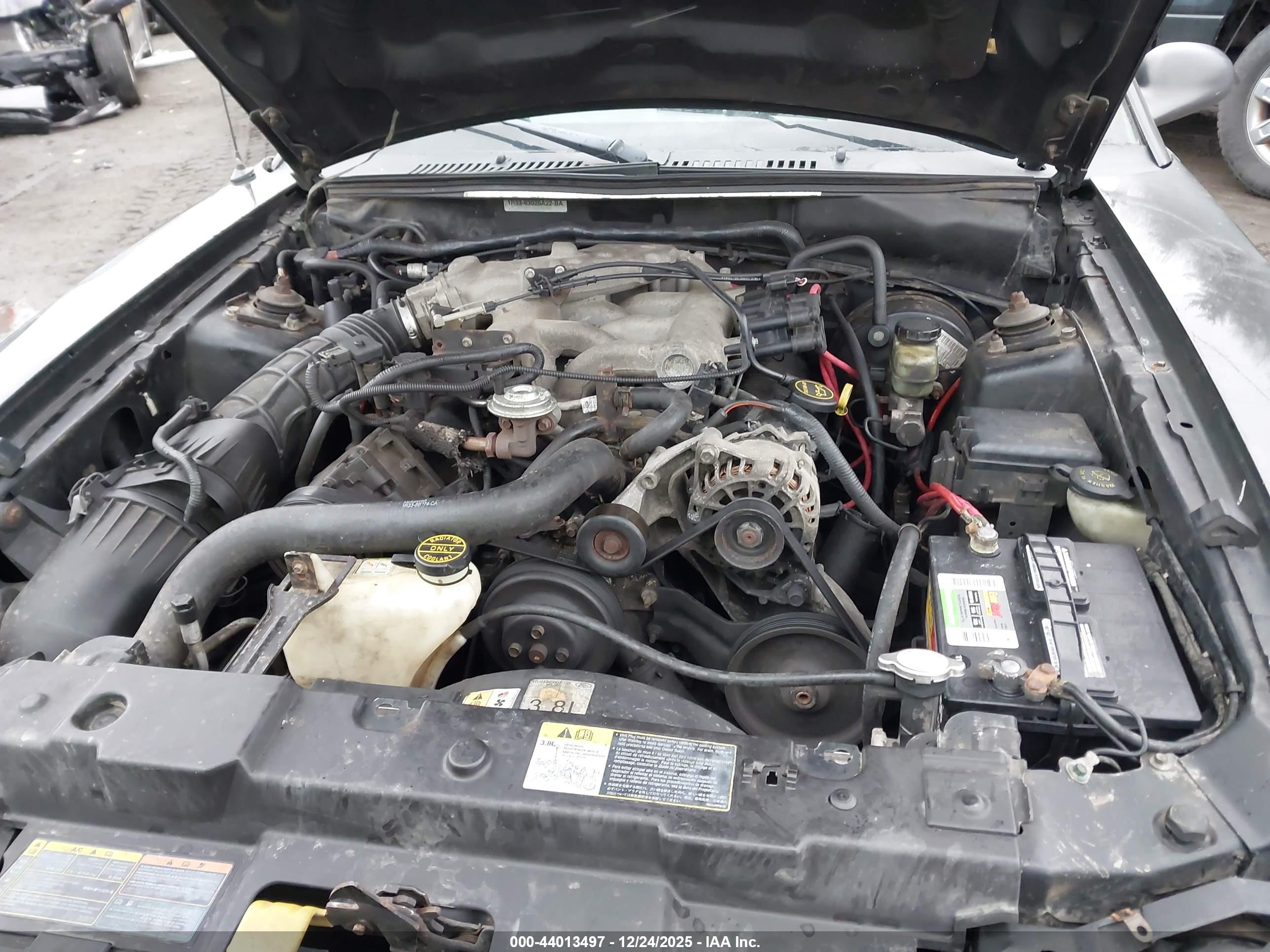 FORD MUSTANG image 10