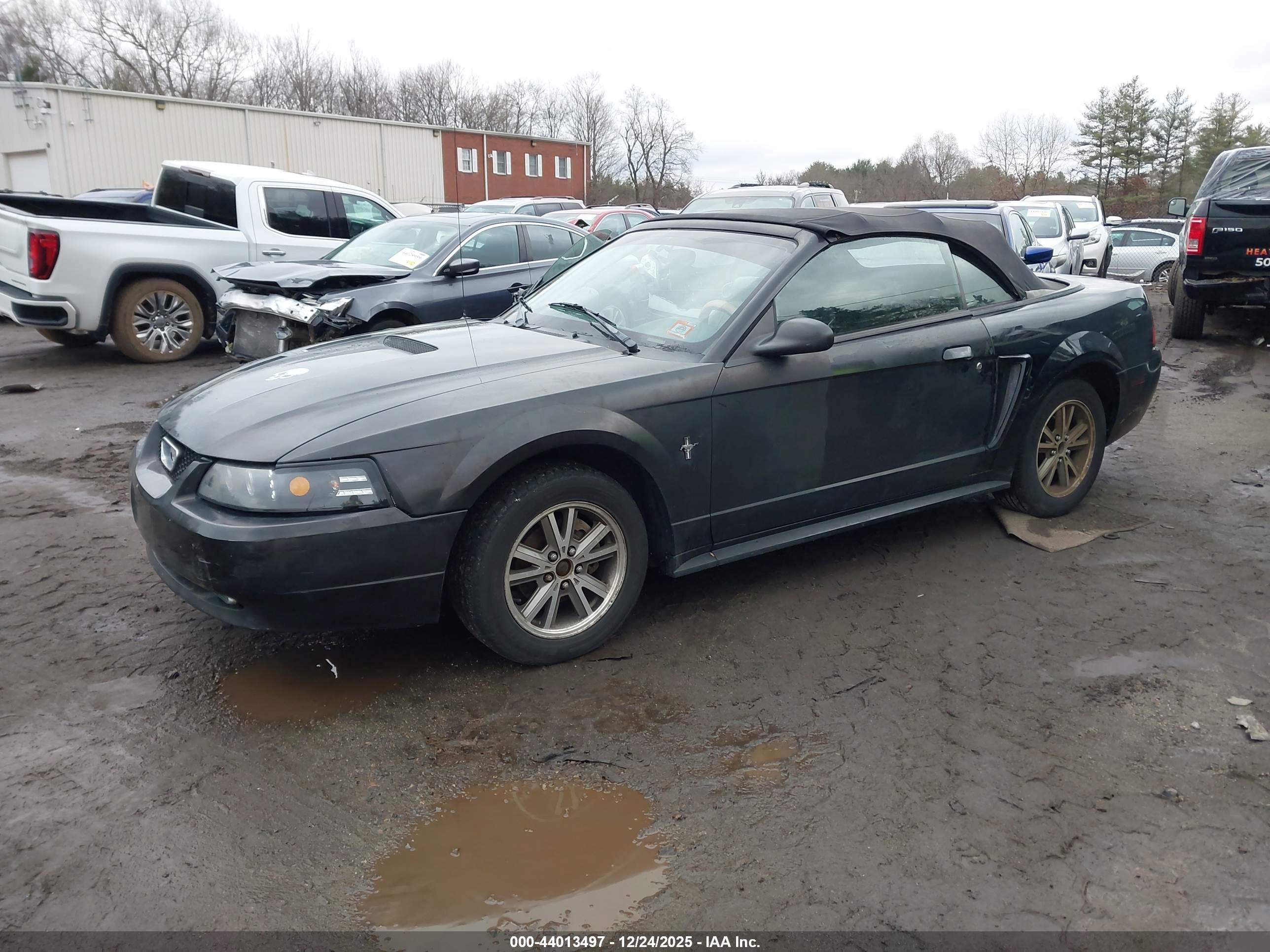 FORD MUSTANG image 2