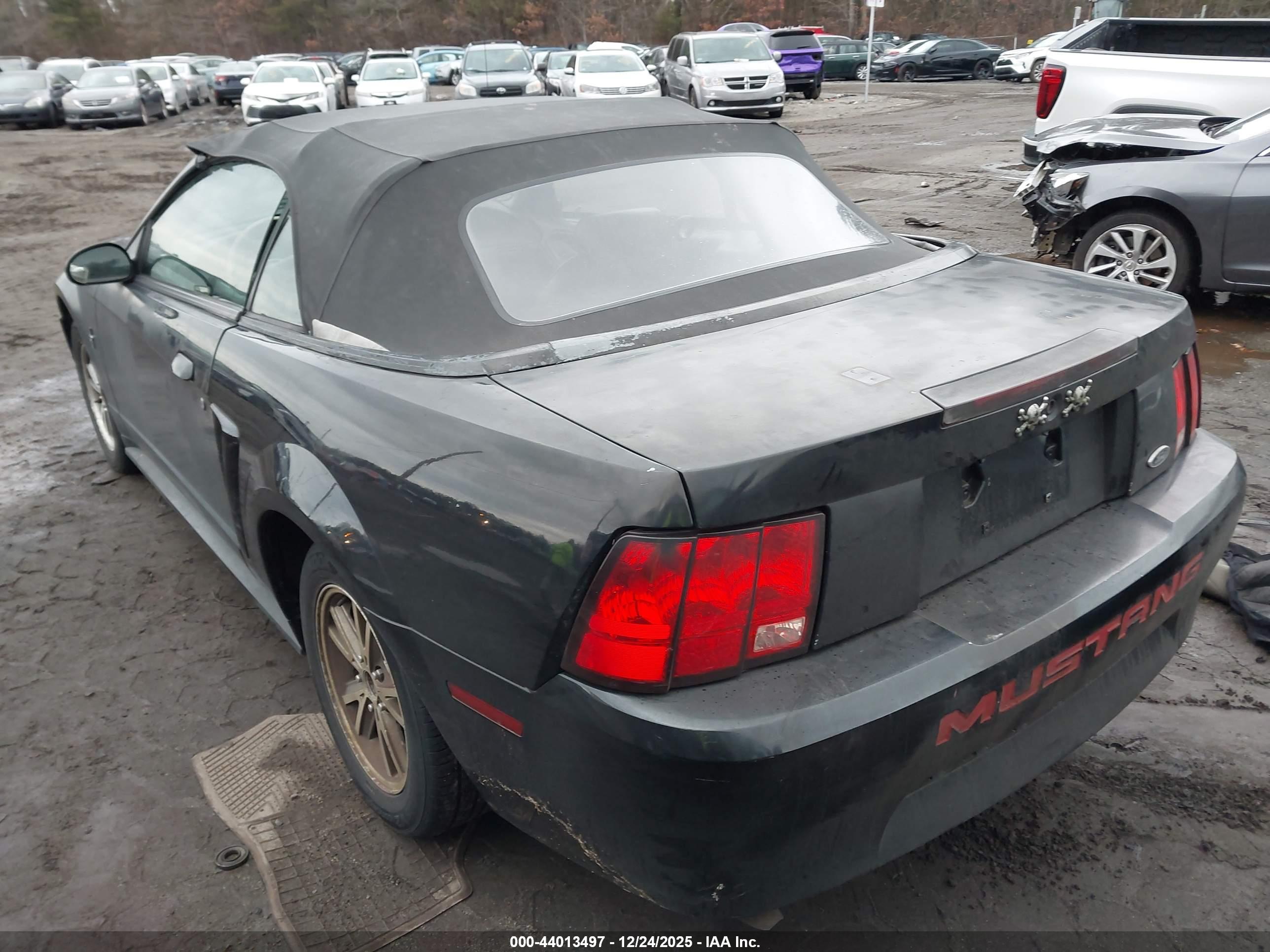 FORD MUSTANG image 3