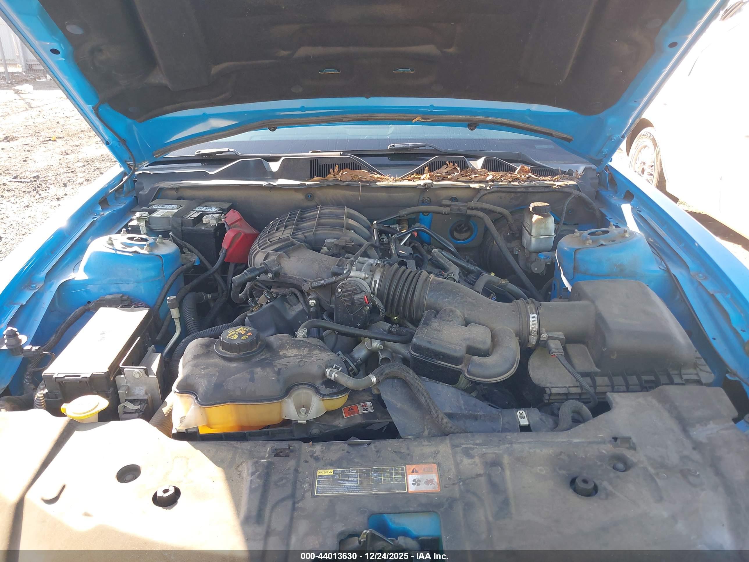 FORD MUSTANG image 10
