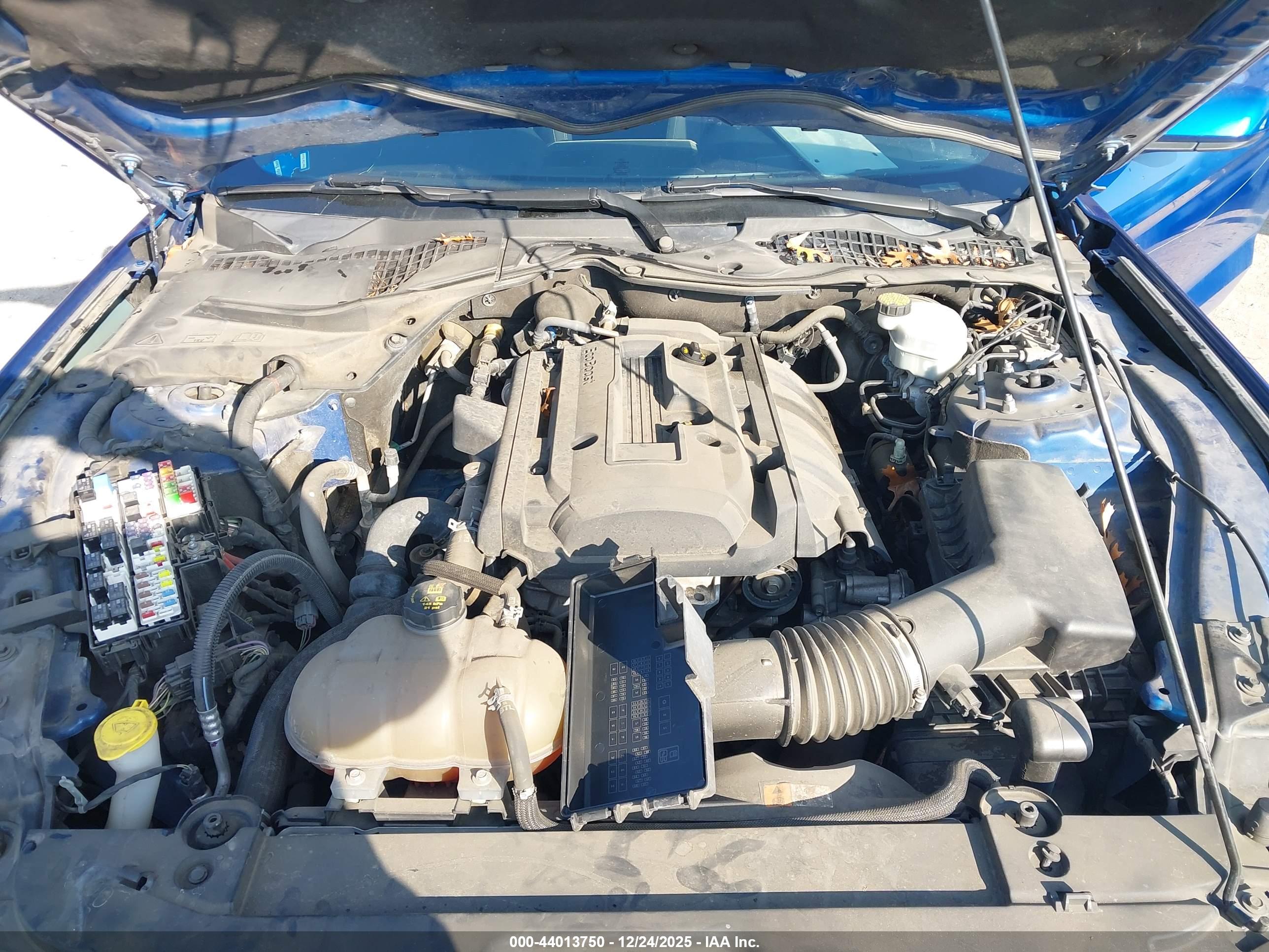 FORD MUSTANG image 10