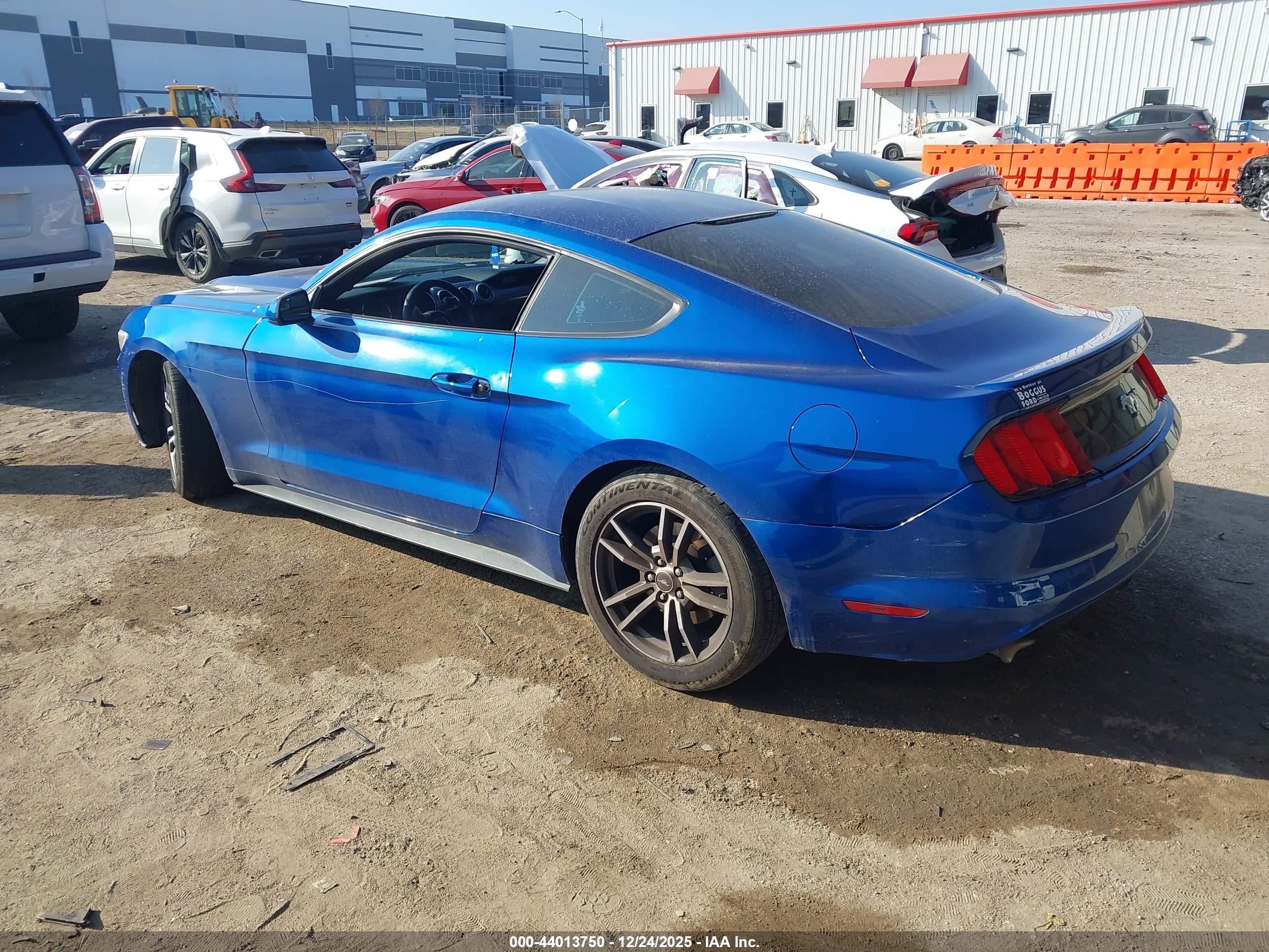 FORD MUSTANG image 3