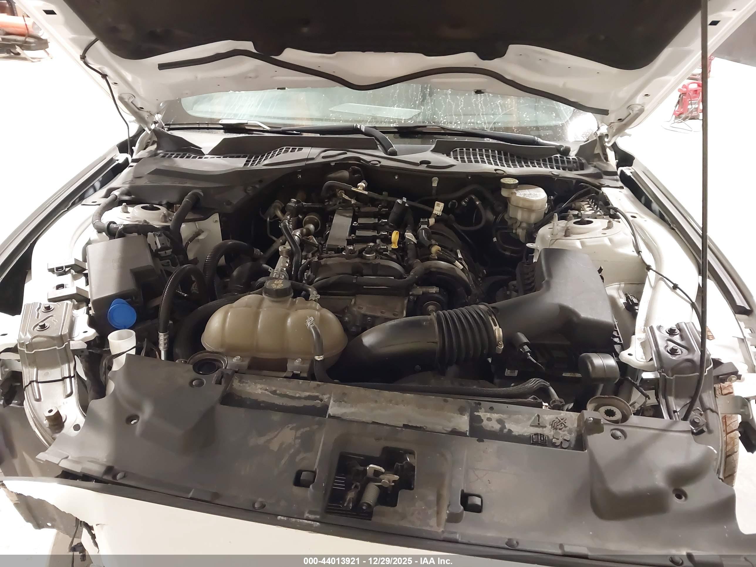 FORD MUSTANG image 10