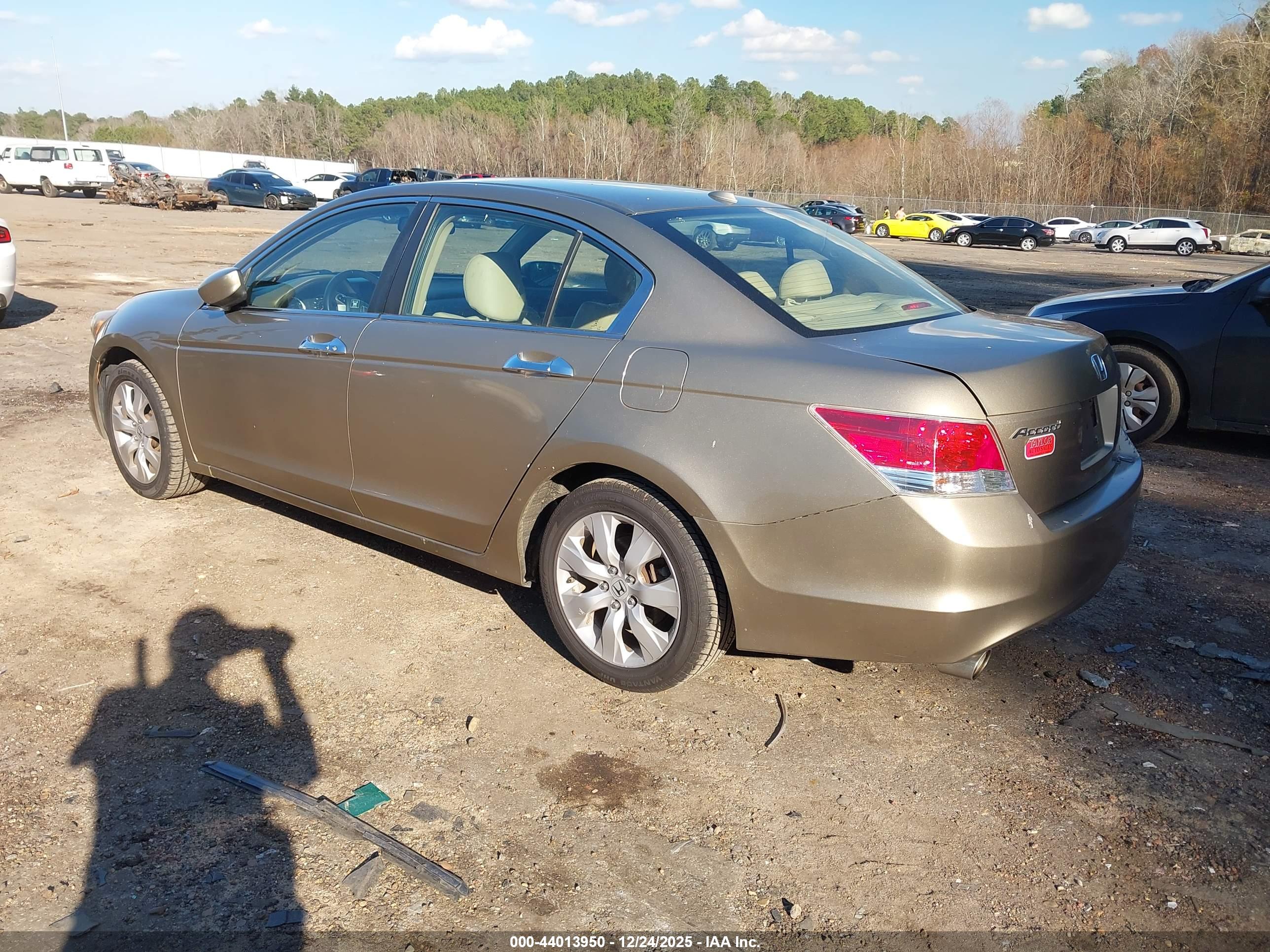 HONDA ACCORD image 3