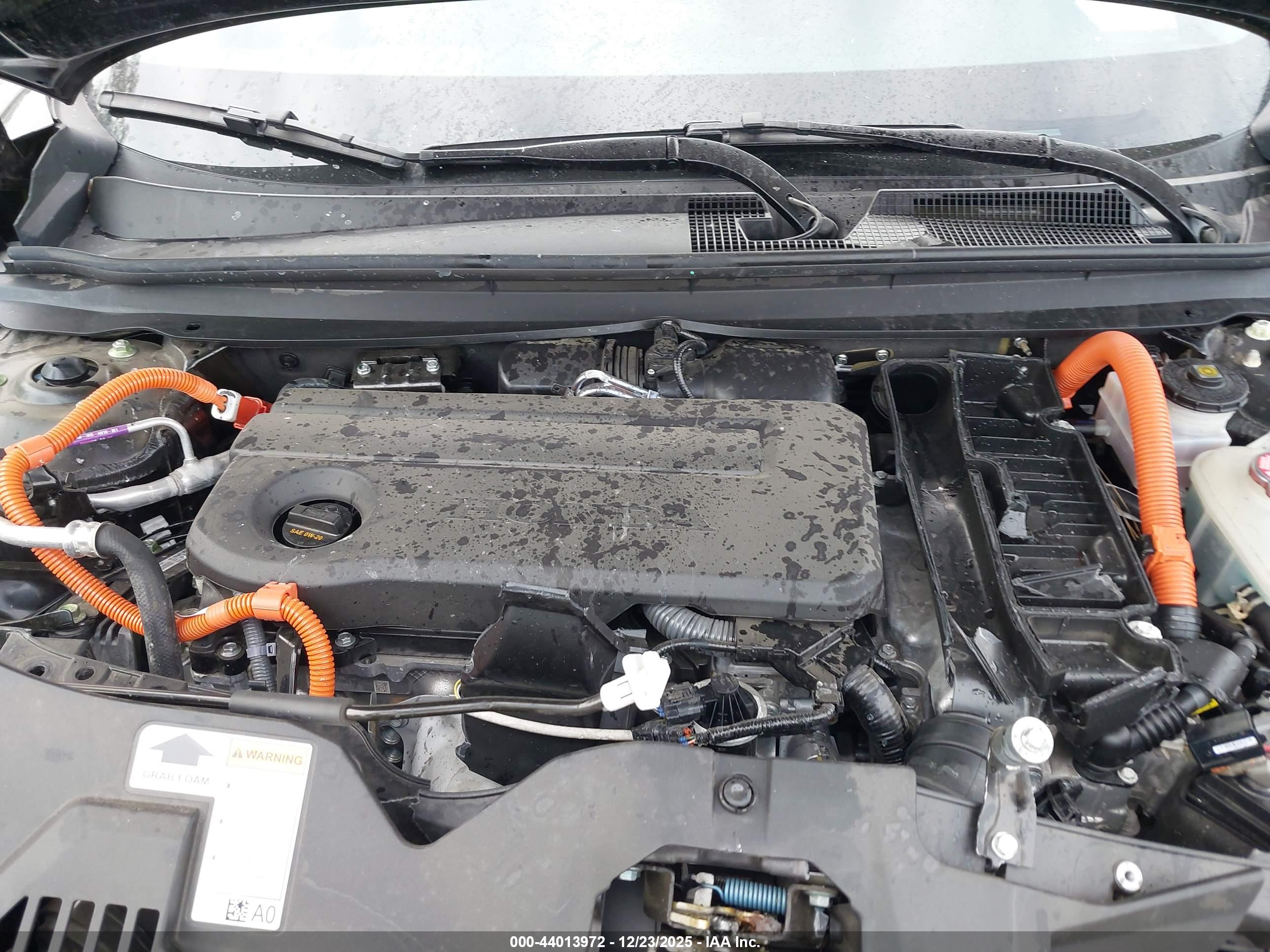 HONDA ACCORD image 10