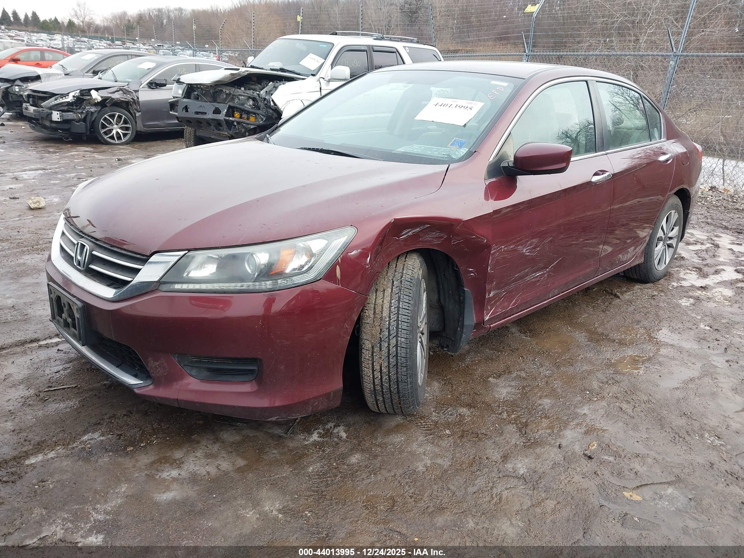 HONDA ACCORD image 2